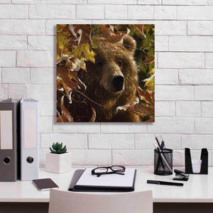 'Legend Of The Fall' by Collin Bogle, Canvas Wall Art,18x18