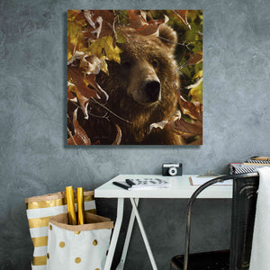 'Legend Of The Fall' by Collin Bogle, Canvas Wall Art,26x26