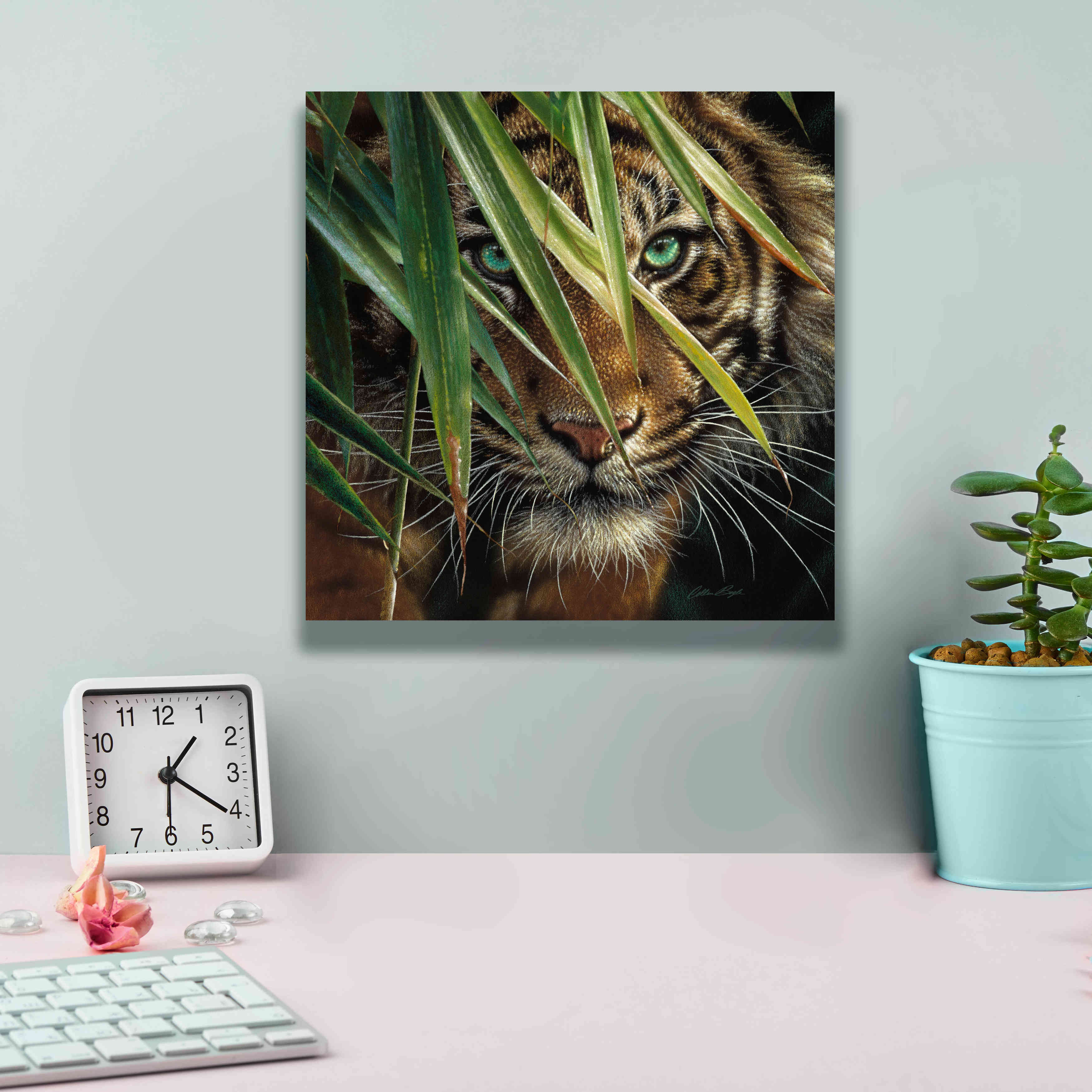 'Tiger Eyes' by Collin Bogle, Canvas Wall Art,12x12