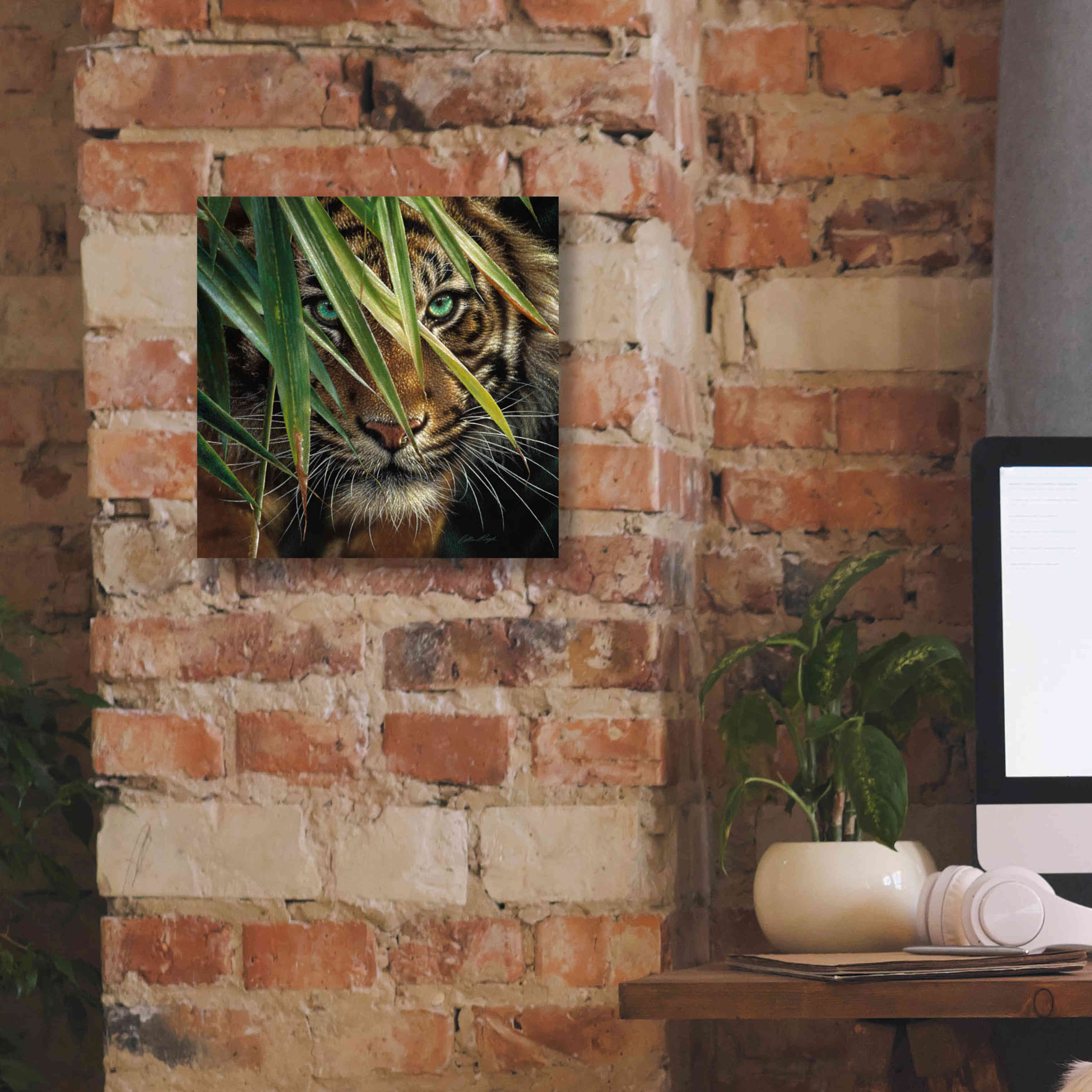 'Tiger Eyes' by Collin Bogle, Canvas Wall Art,12x12