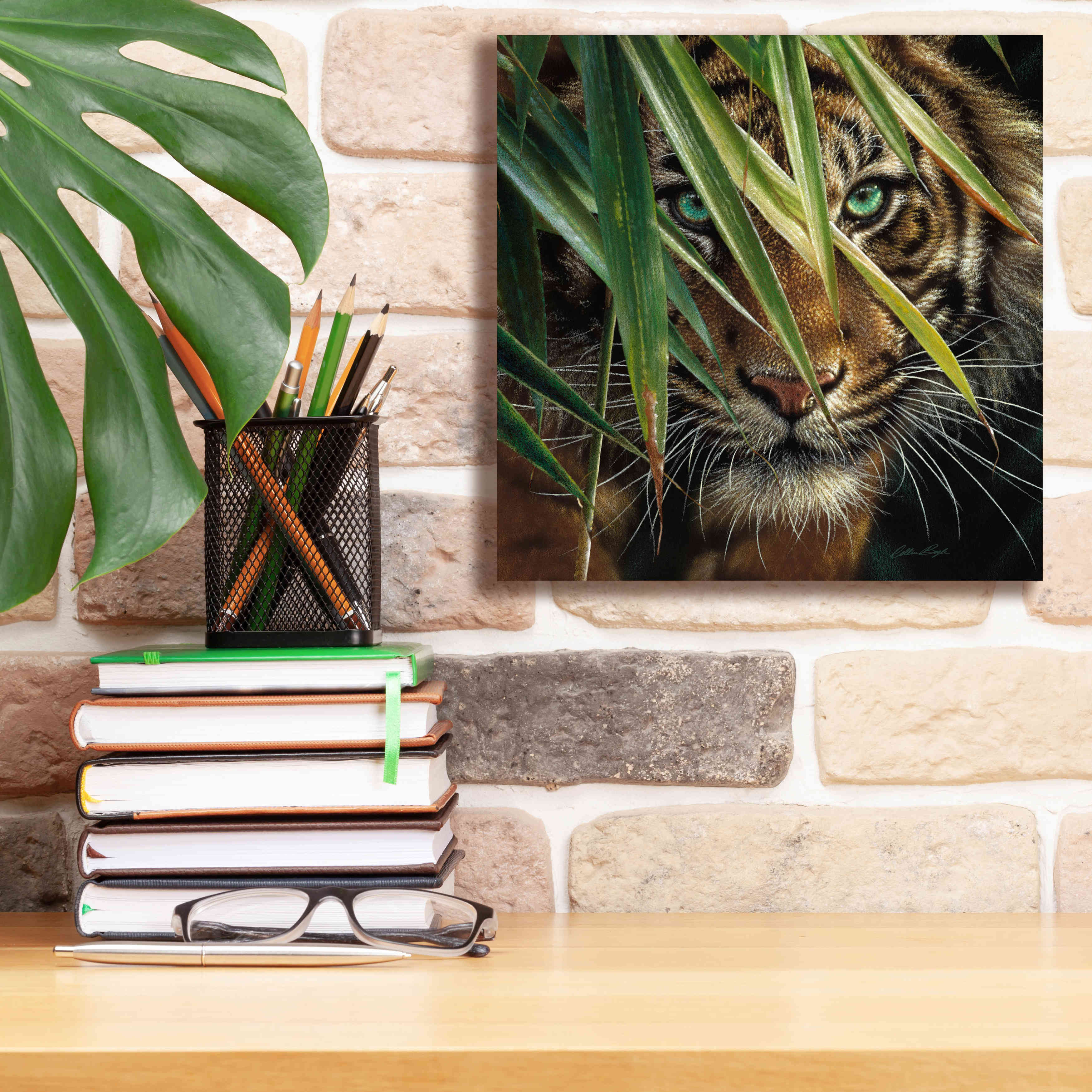 'Tiger Eyes' by Collin Bogle, Canvas Wall Art,12x12