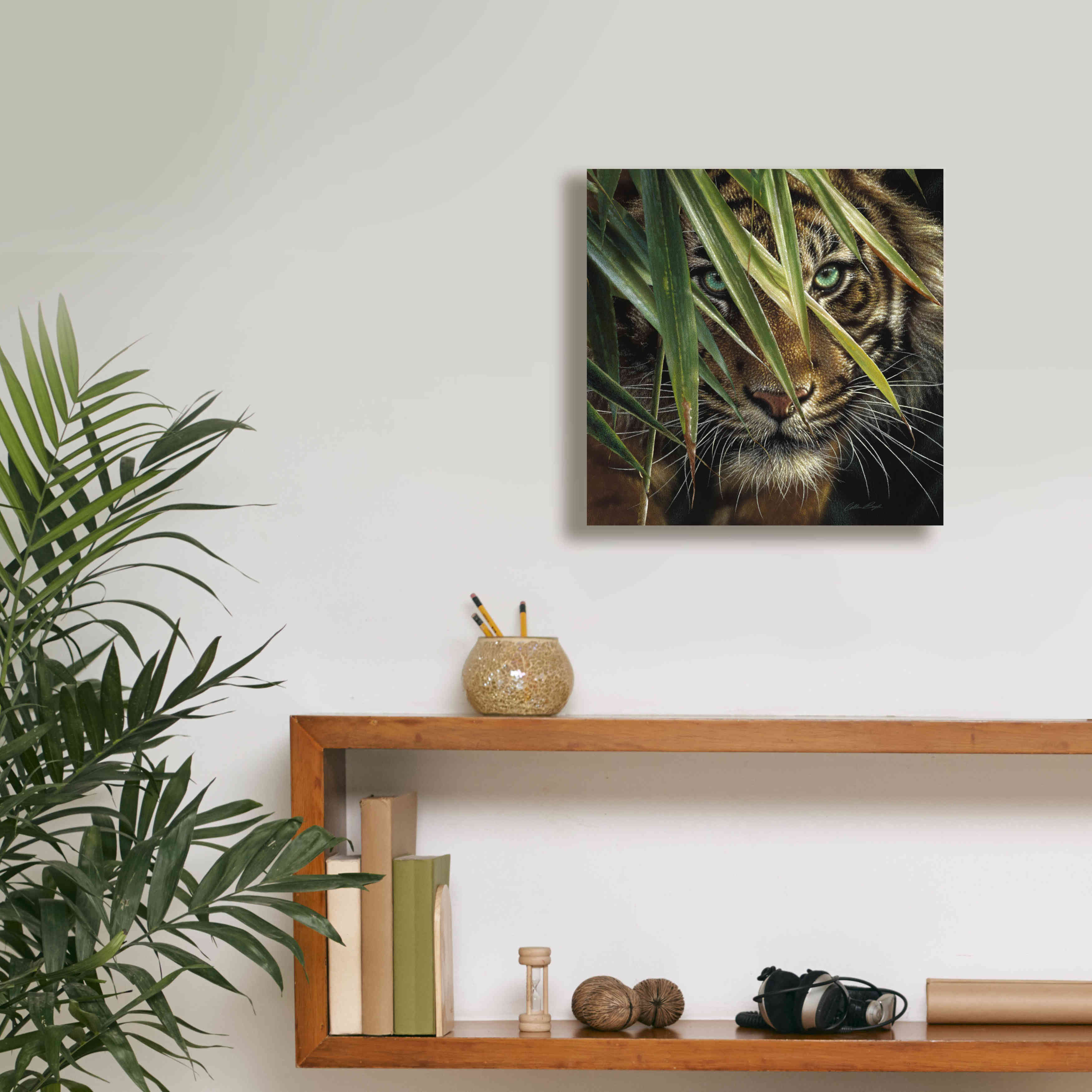 'Tiger Eyes' by Collin Bogle, Canvas Wall Art,12x12