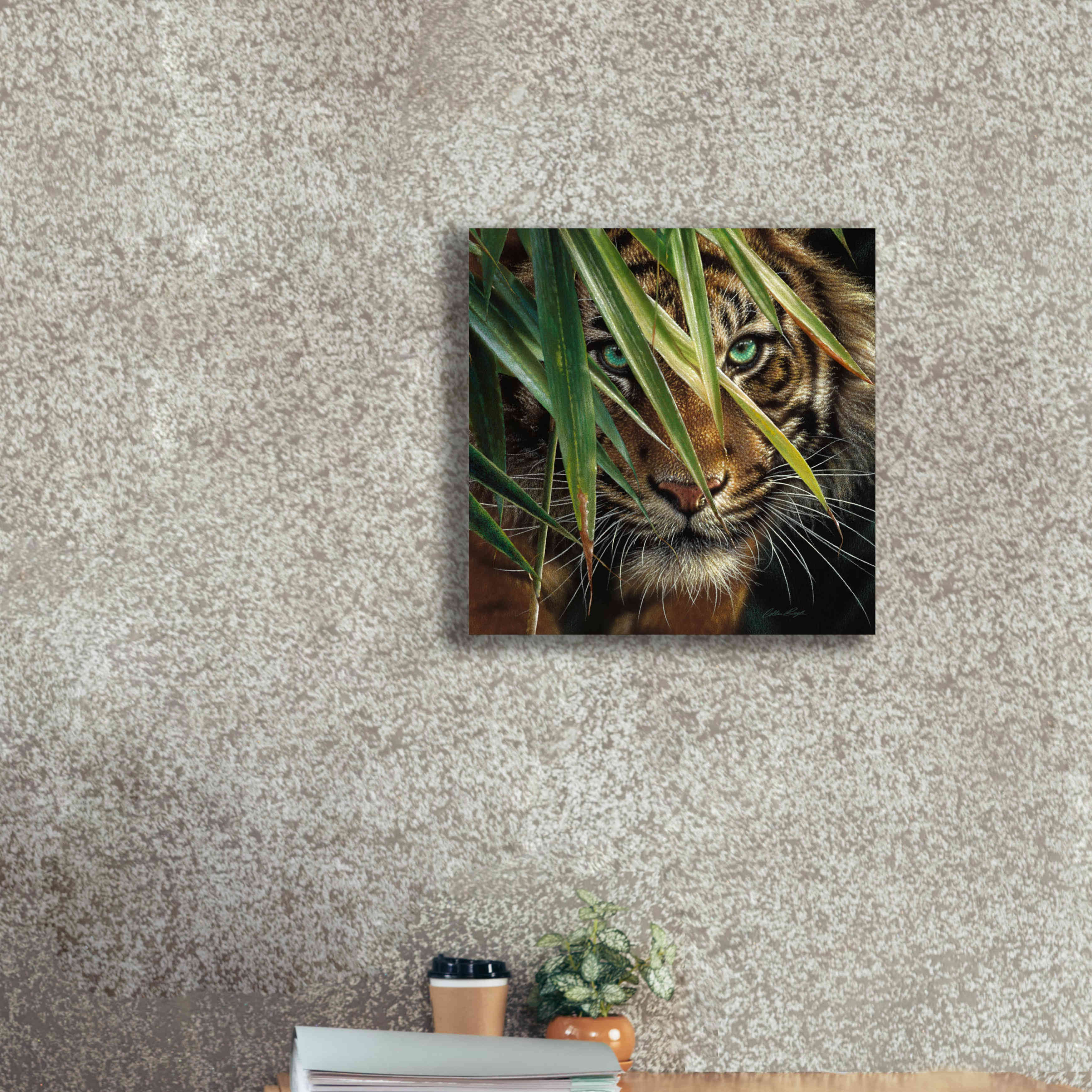 'Tiger Eyes' by Collin Bogle, Canvas Wall Art,18x18