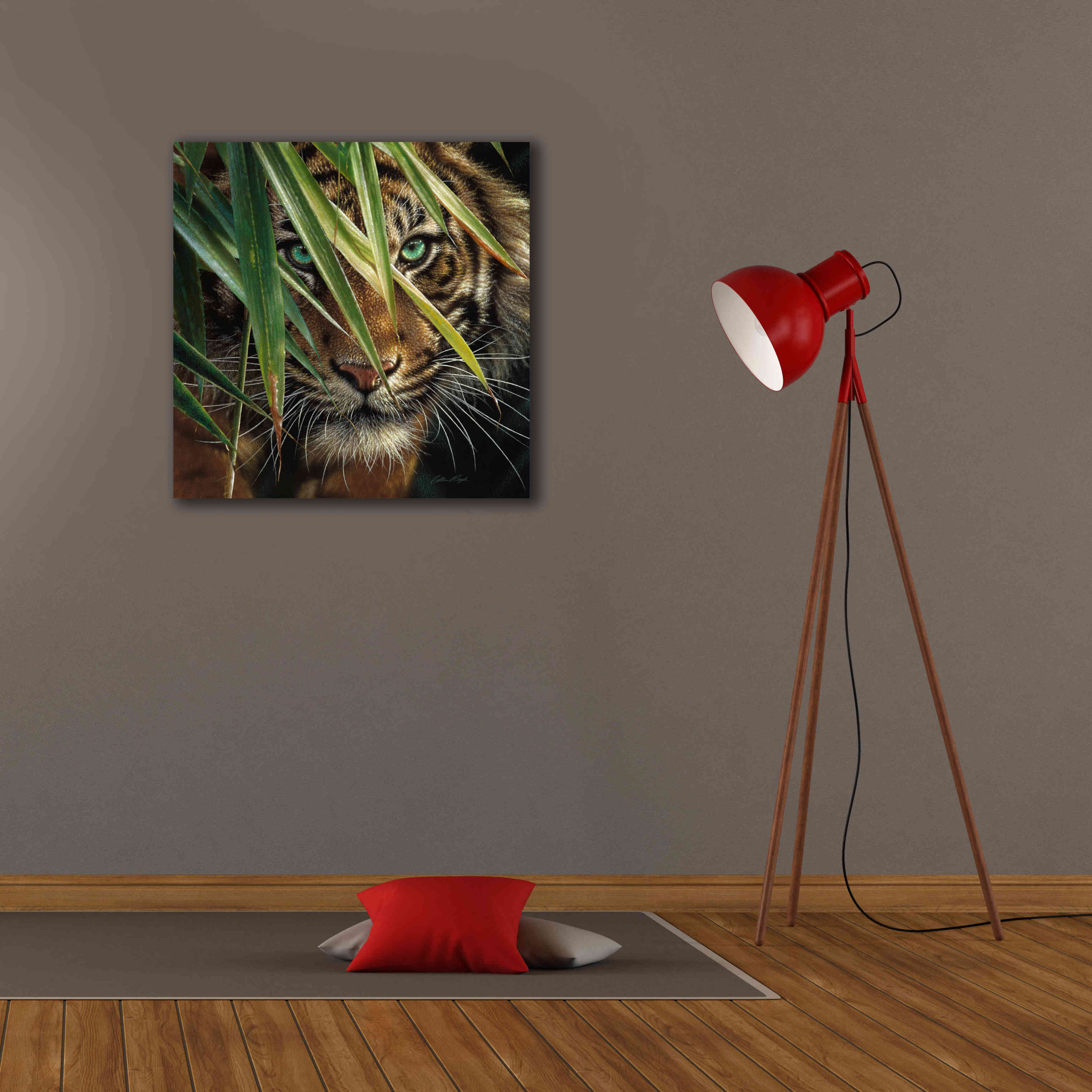 'Tiger Eyes' by Collin Bogle, Canvas Wall Art,26x26