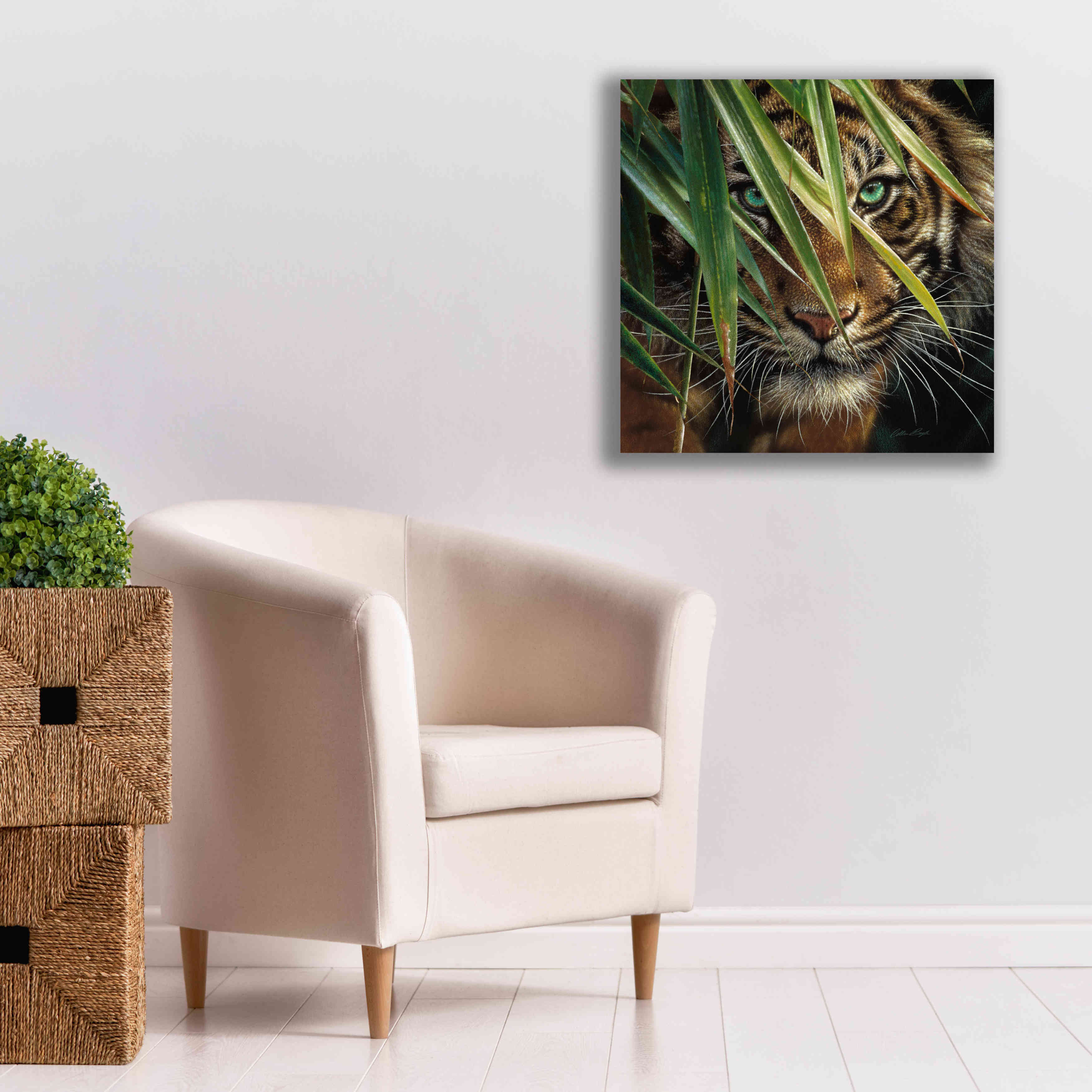 'Tiger Eyes' by Collin Bogle, Canvas Wall Art,26x26