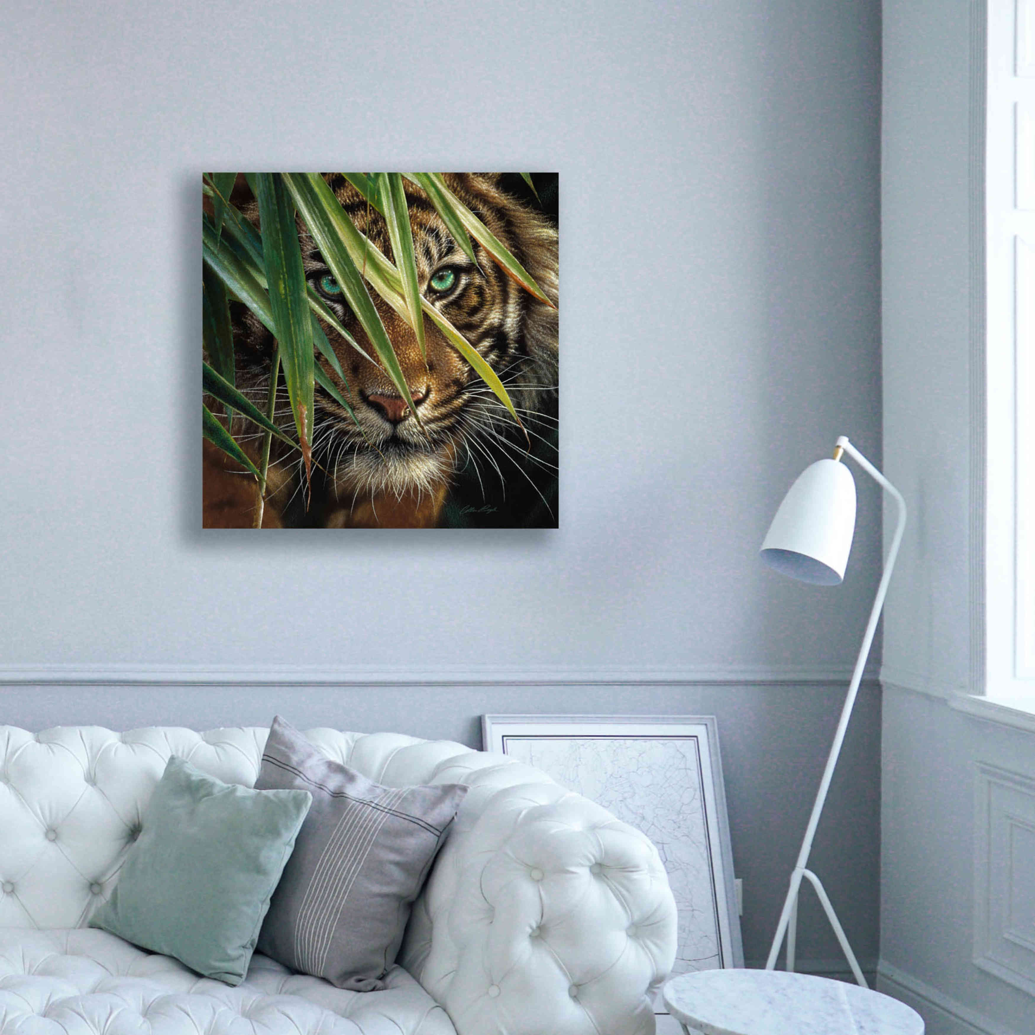'Tiger Eyes' by Collin Bogle, Canvas Wall Art,37x37