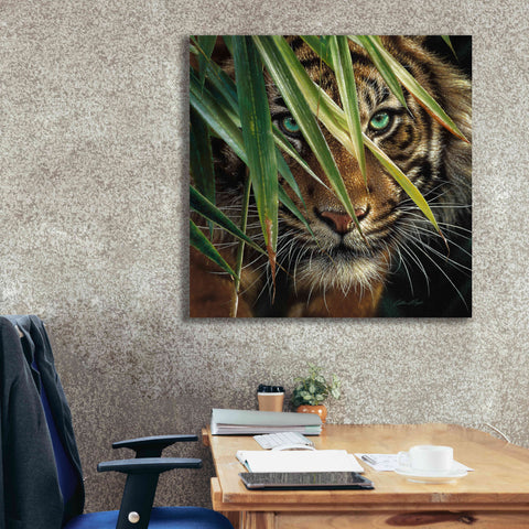 Image of 'Tiger Eyes' by Collin Bogle, Canvas Wall Art,37x37