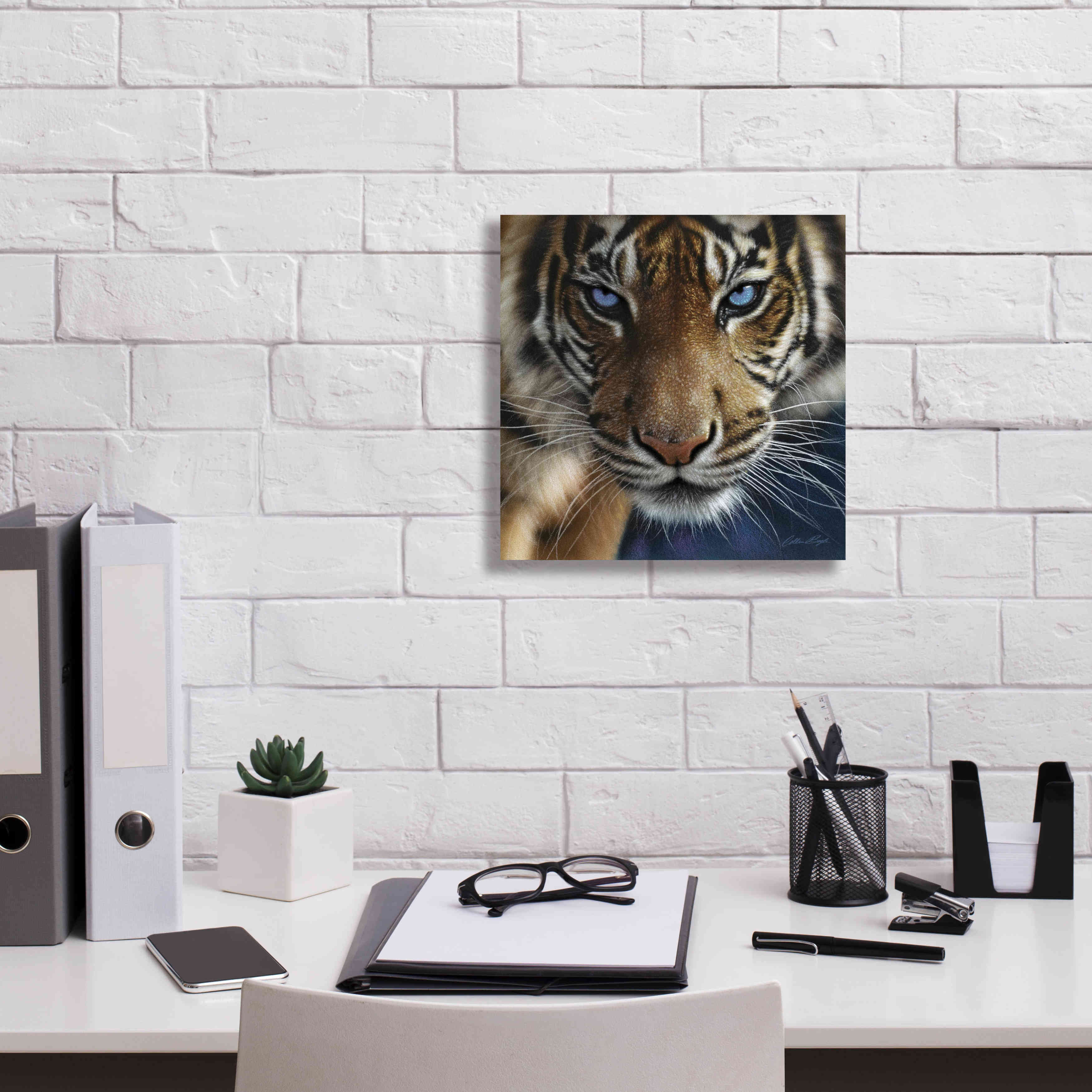 'Blue Eyes' by Collin Bogle, Canvas Wall Art,12x12