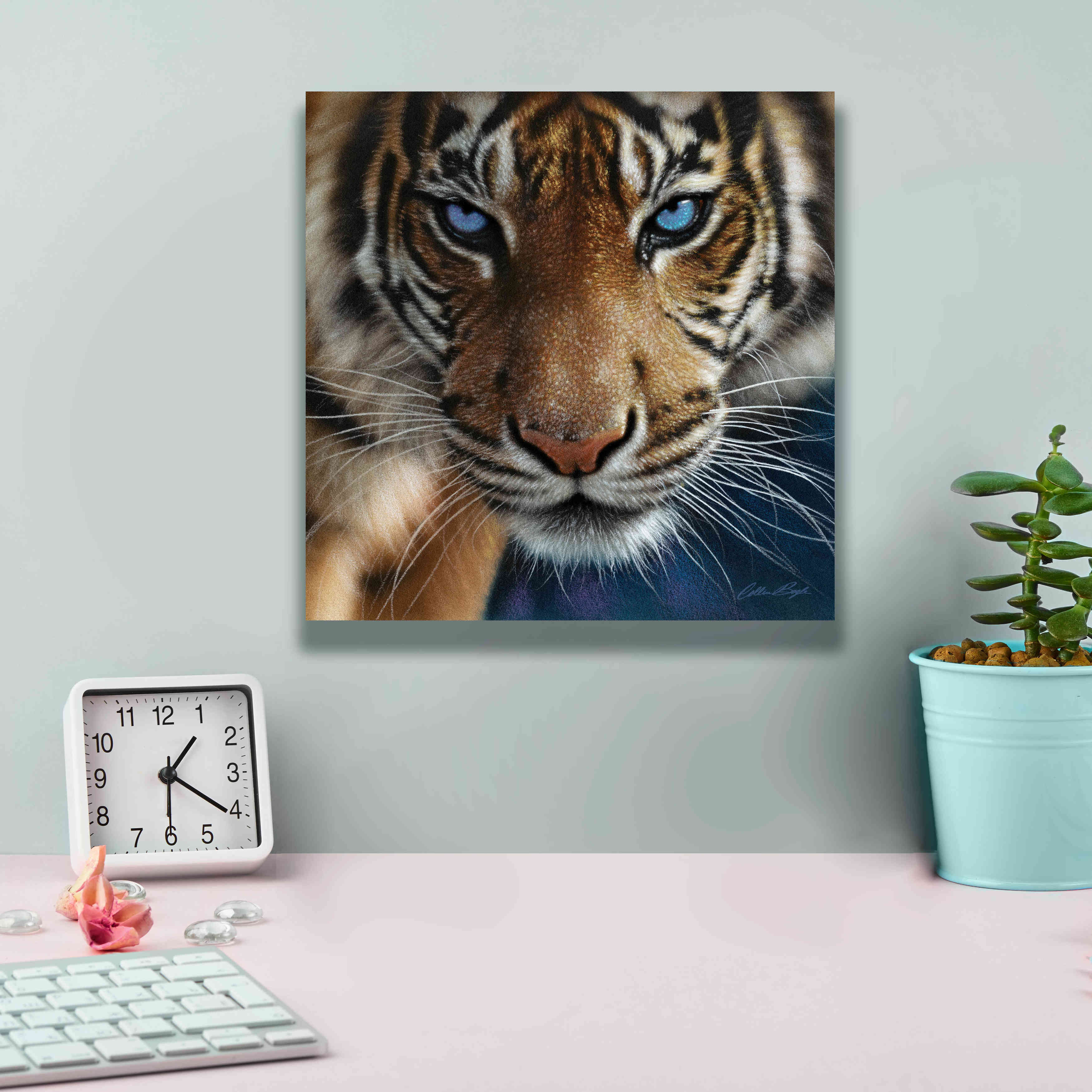 'Blue Eyes' by Collin Bogle, Canvas Wall Art,12x12