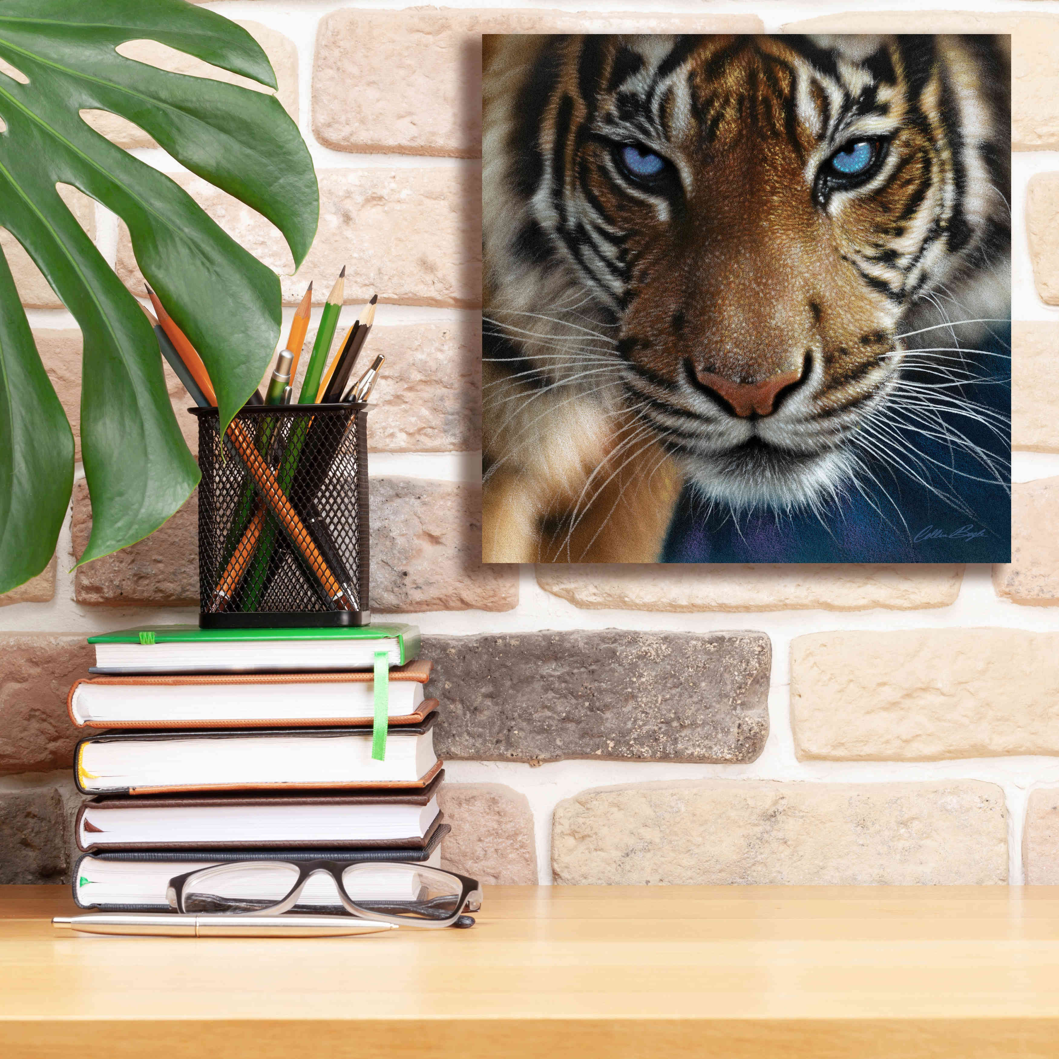 'Blue Eyes' by Collin Bogle, Canvas Wall Art,12x12