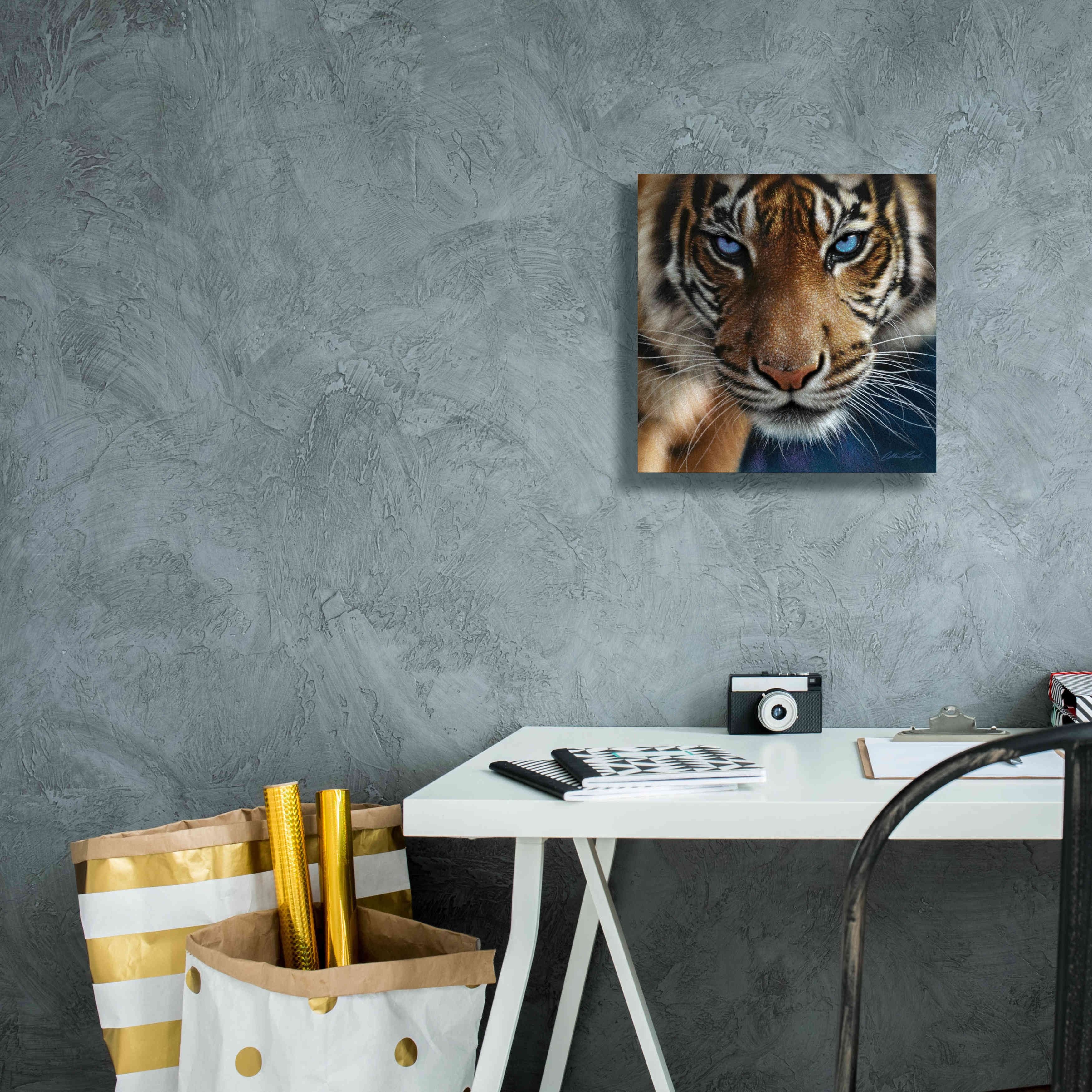 'Blue Eyes' by Collin Bogle, Canvas Wall Art,12x12