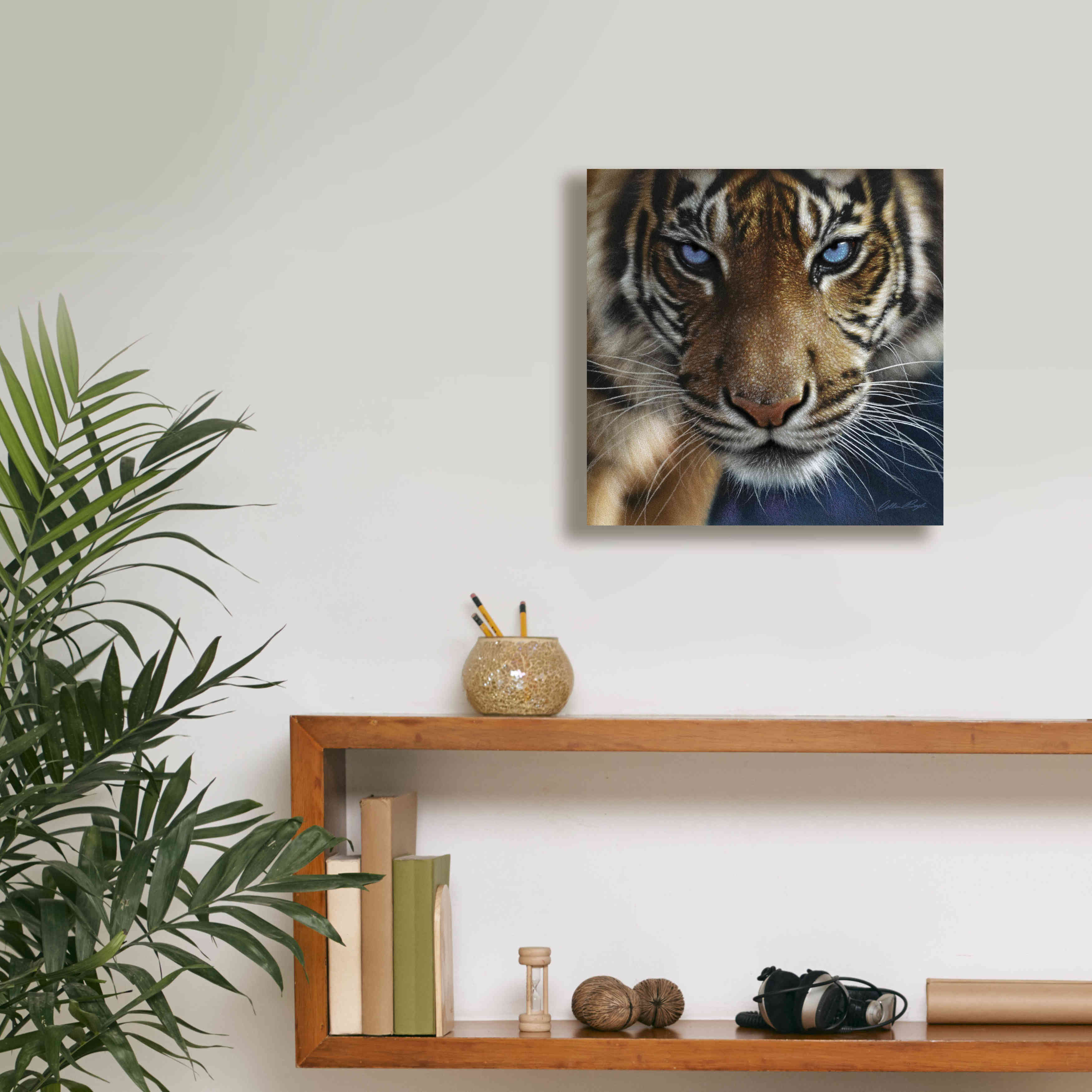 'Blue Eyes' by Collin Bogle, Canvas Wall Art,12x12