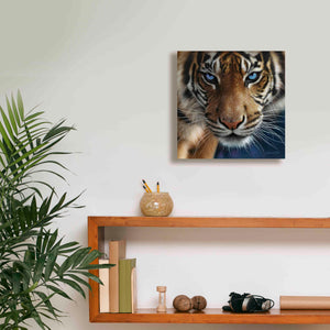 'Blue Eyes' by Collin Bogle, Canvas Wall Art,12x12