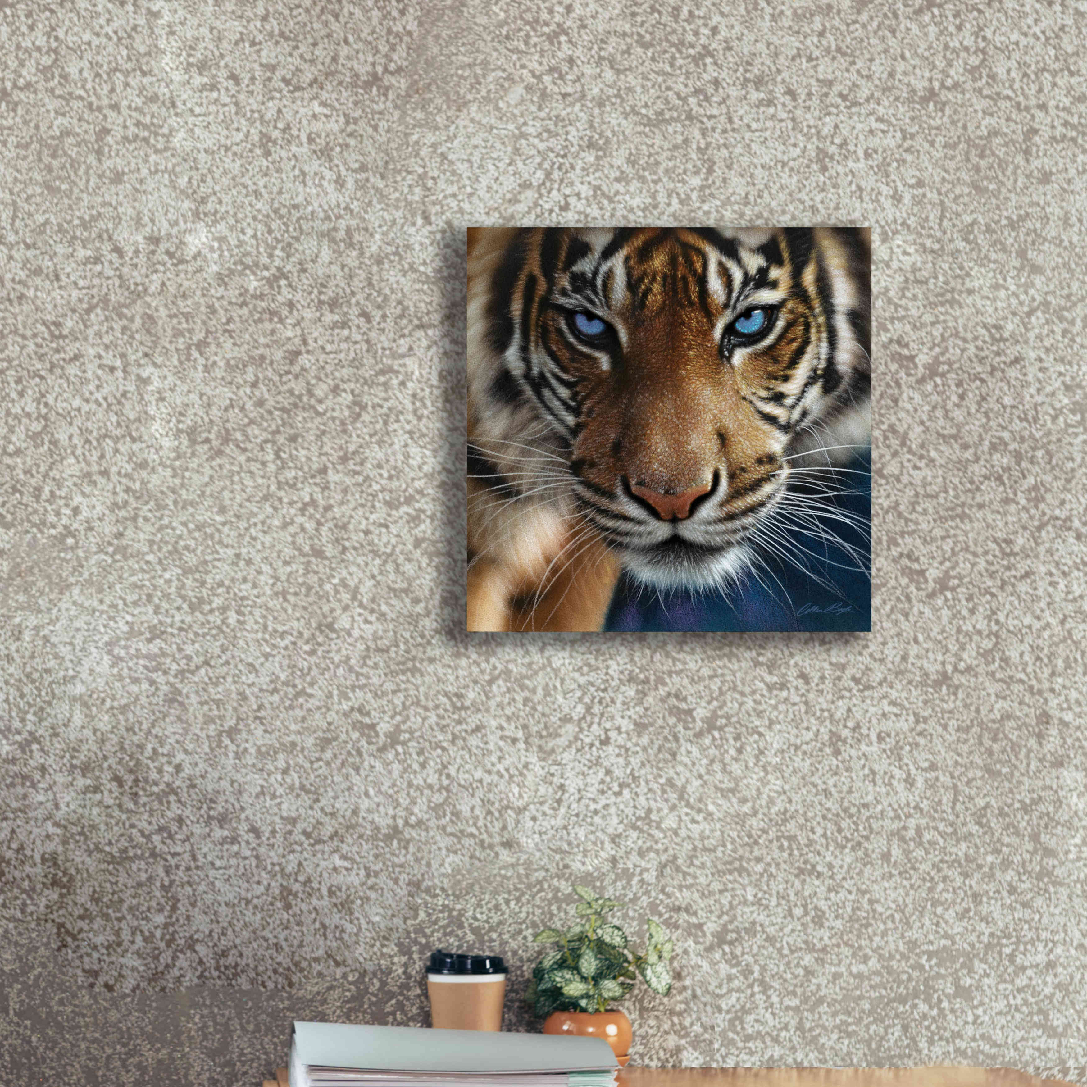 'Blue Eyes' by Collin Bogle, Canvas Wall Art,18x18