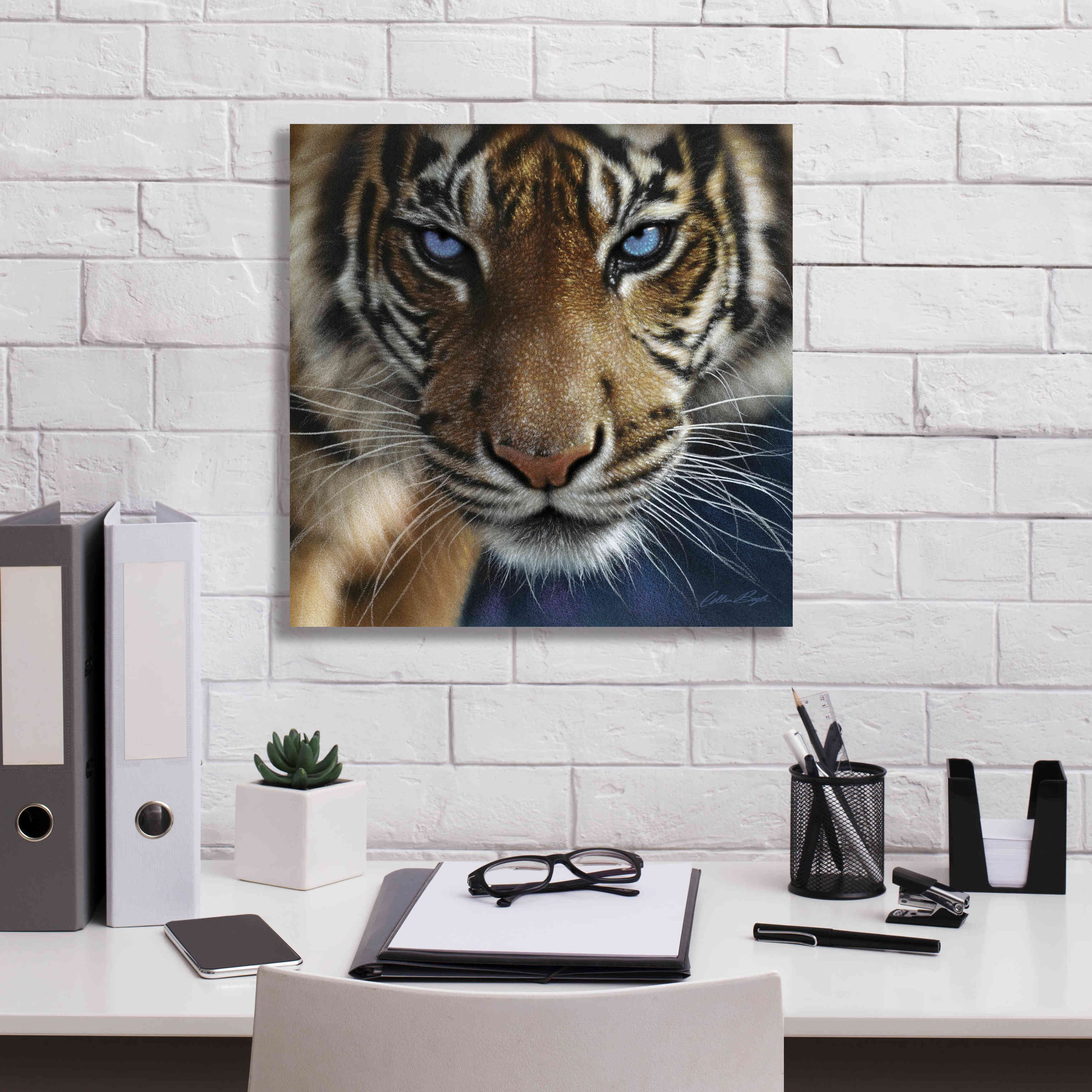 'Blue Eyes' by Collin Bogle, Canvas Wall Art,18x18