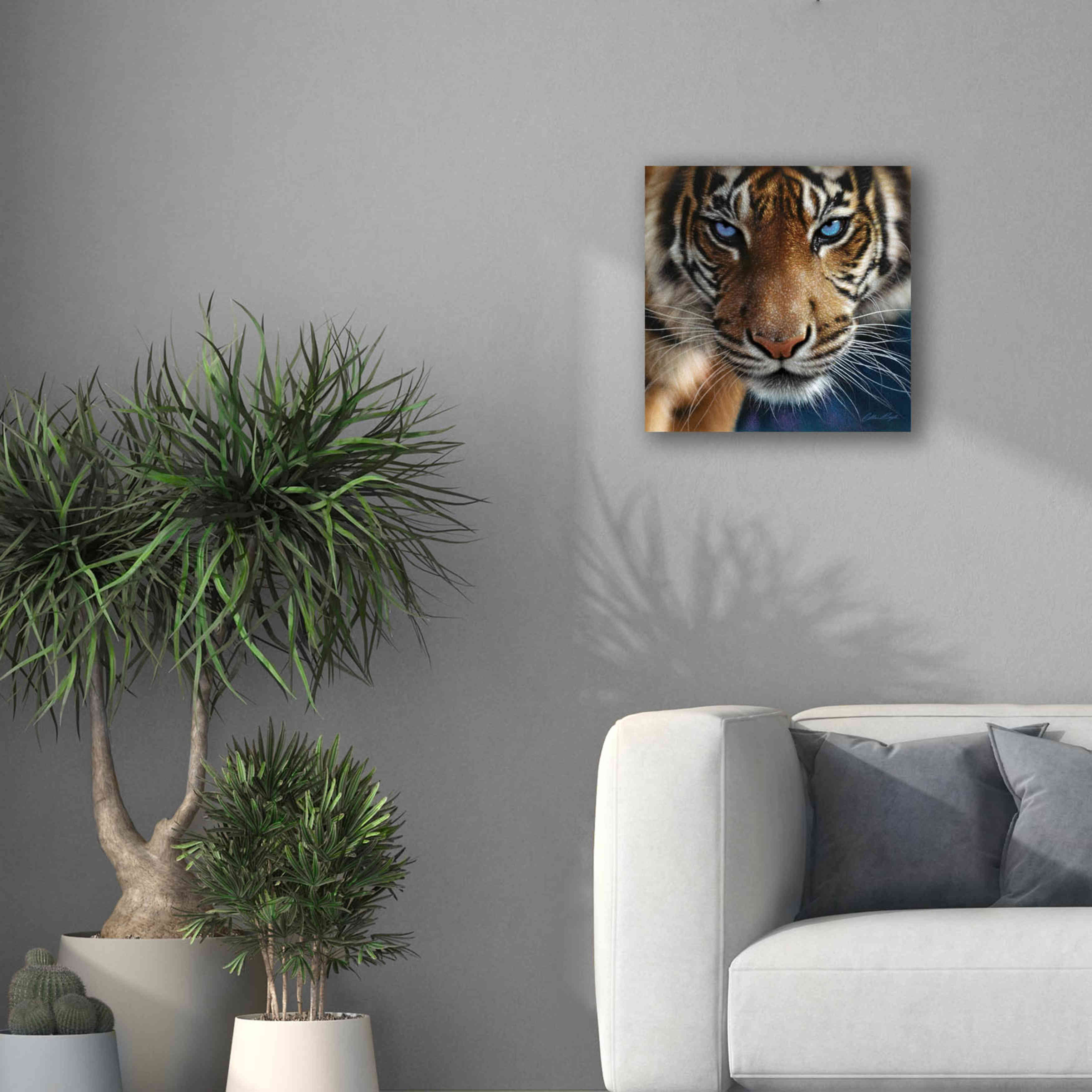 'Blue Eyes' by Collin Bogle, Canvas Wall Art,18x18