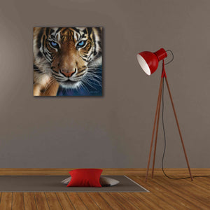 'Blue Eyes' by Collin Bogle, Canvas Wall Art,26x26