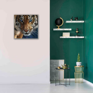 'Blue Eyes' by Collin Bogle, Canvas Wall Art,26x26