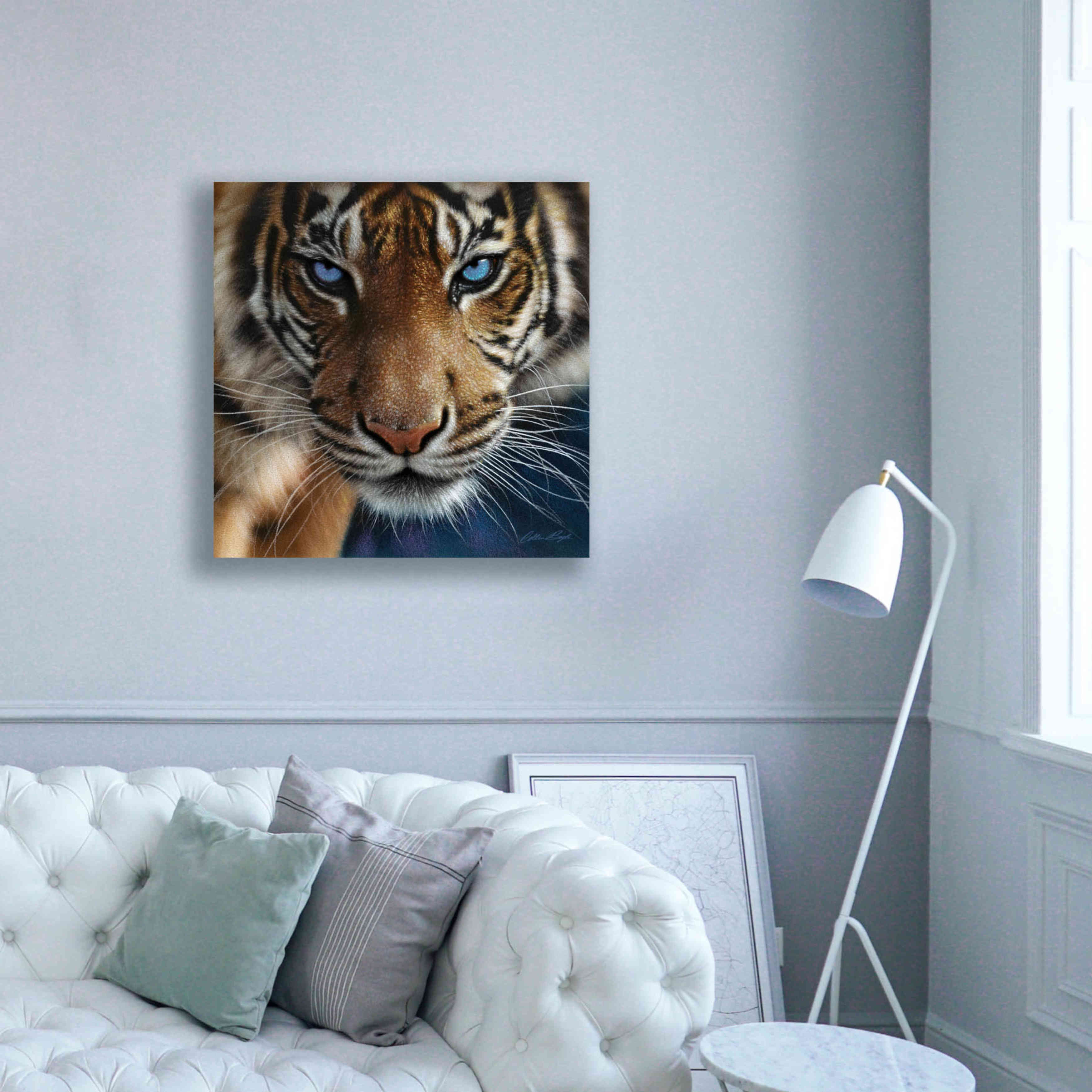 'Blue Eyes' by Collin Bogle, Canvas Wall Art,37x37