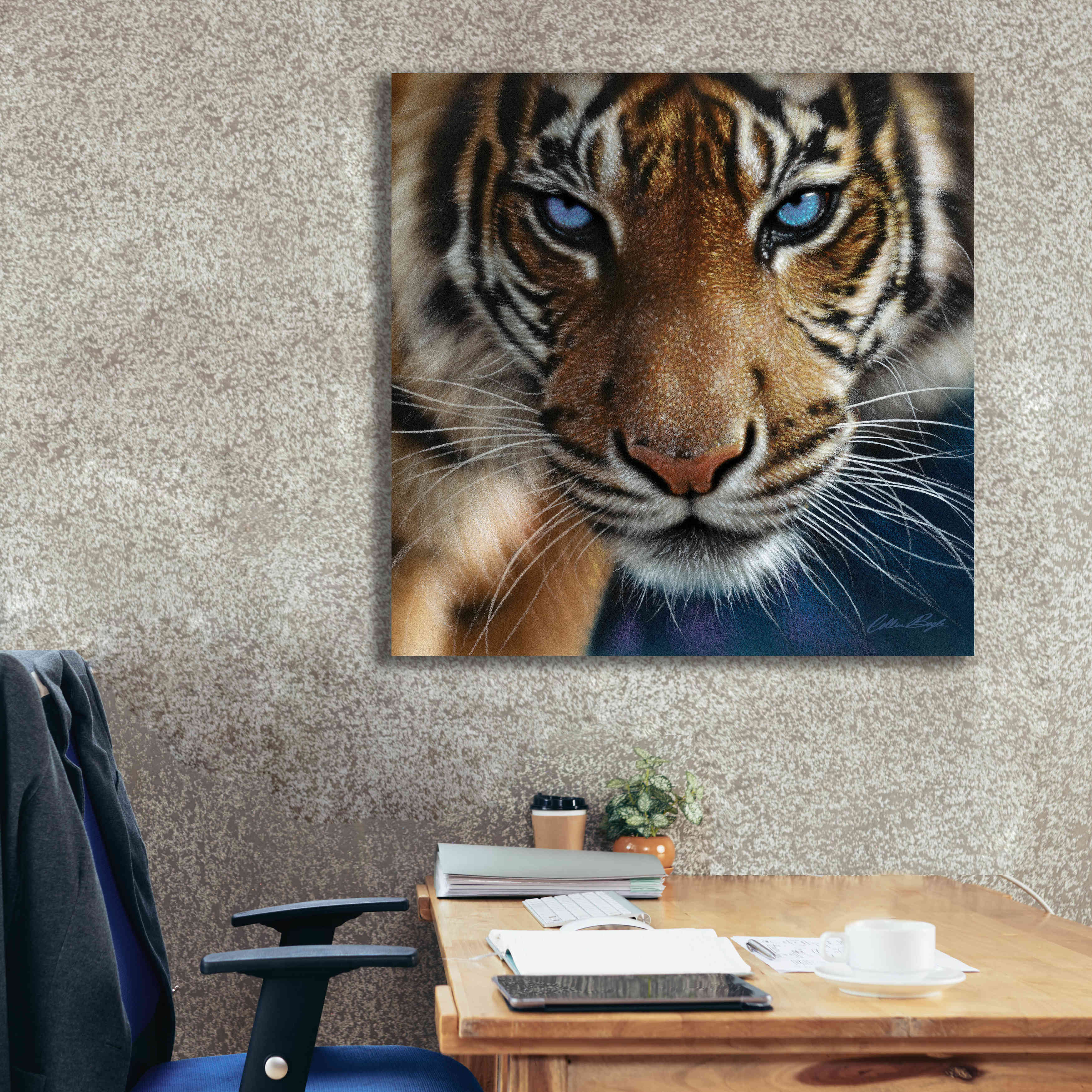 'Blue Eyes' by Collin Bogle, Canvas Wall Art,37x37