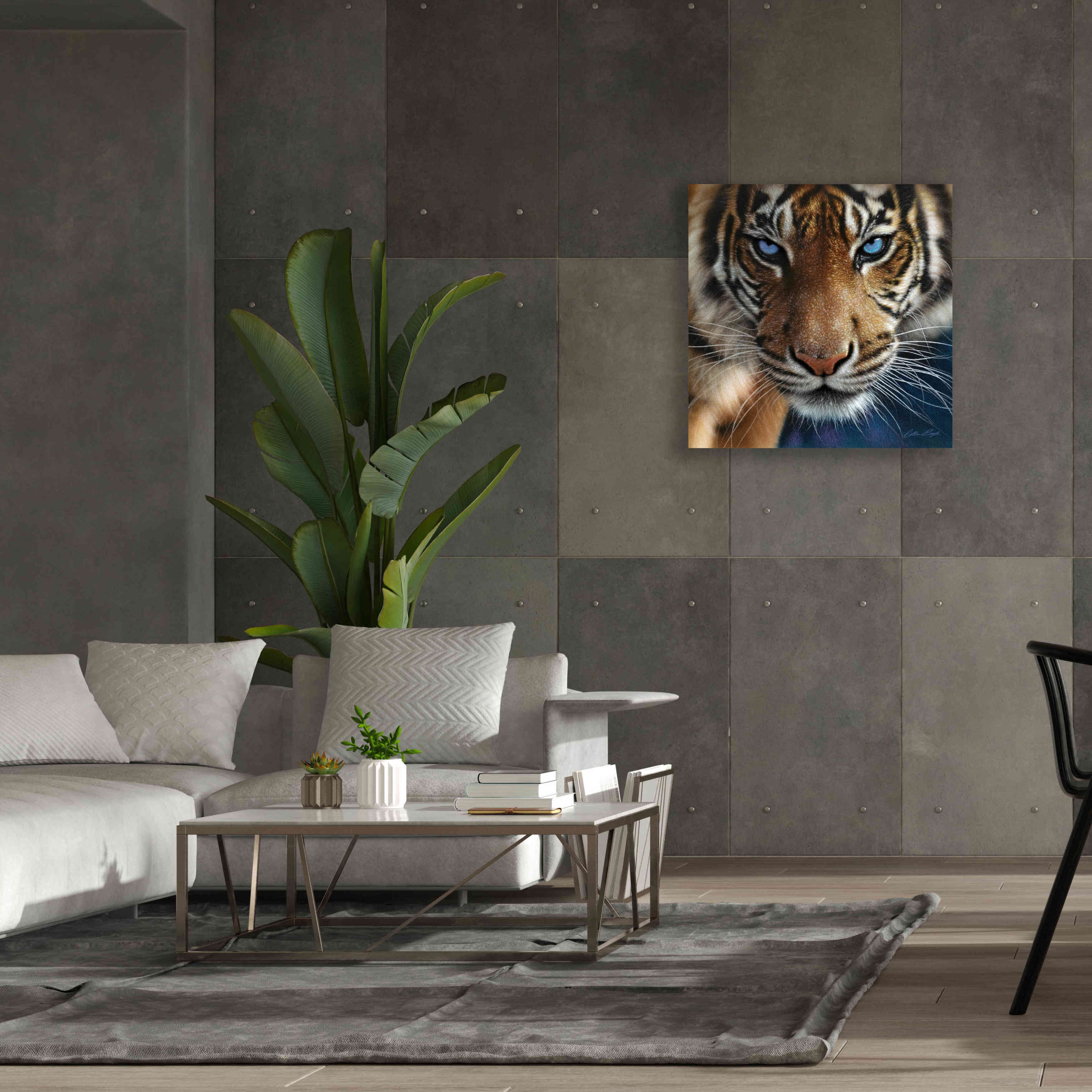 'Blue Eyes' by Collin Bogle, Canvas Wall Art,37x37