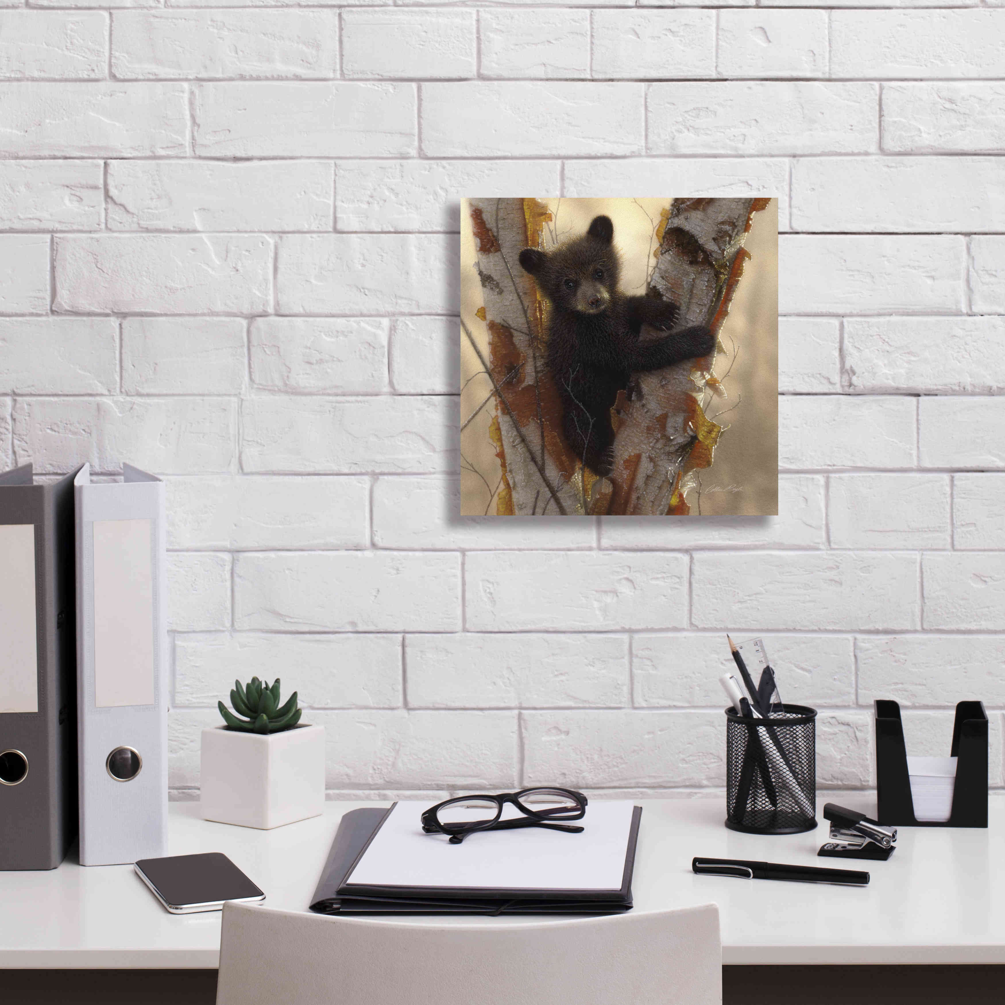 'Curious Cub I' by Collin Bogle, Canvas Wall Art,12x12