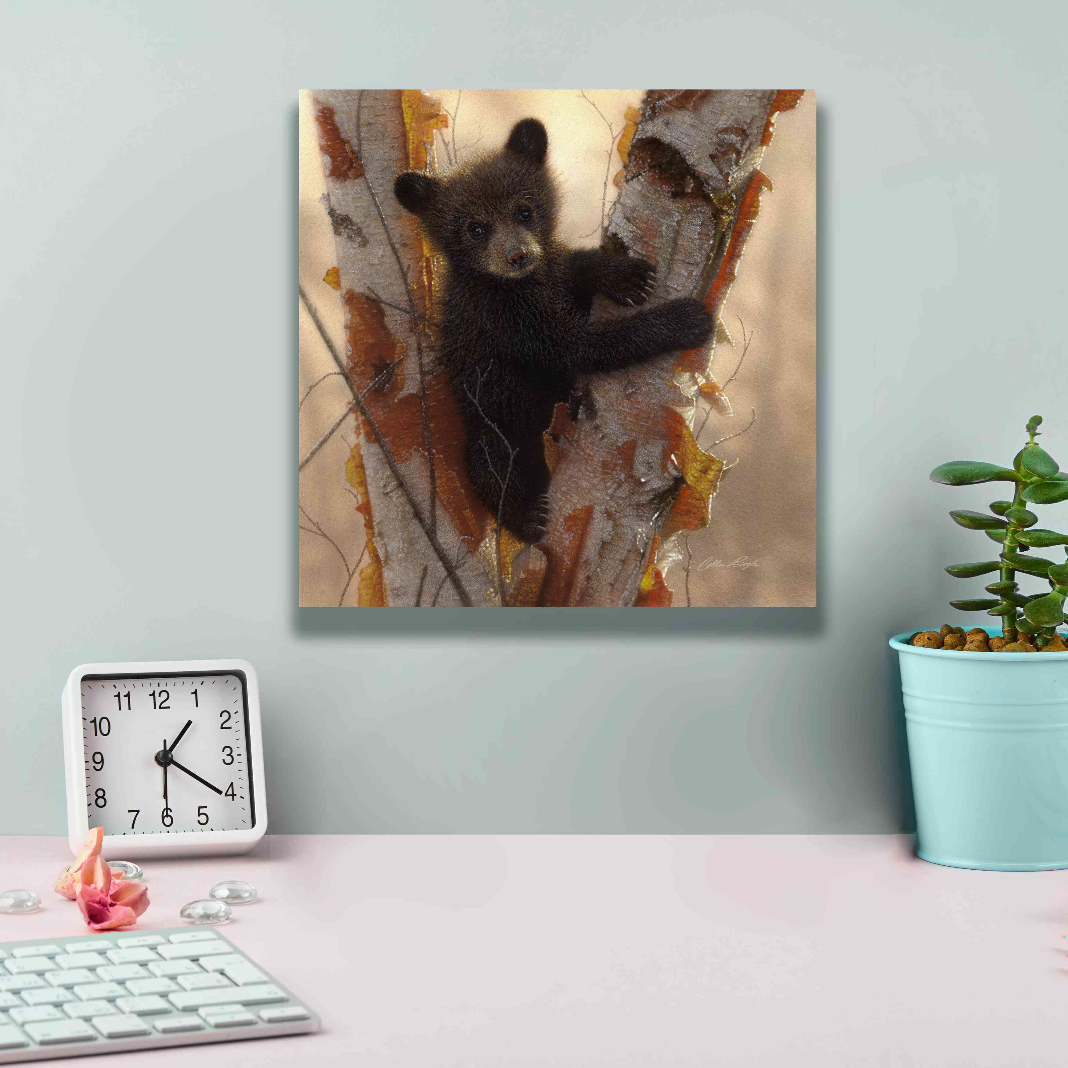 'Curious Cub I' by Collin Bogle, Canvas Wall Art,12x12