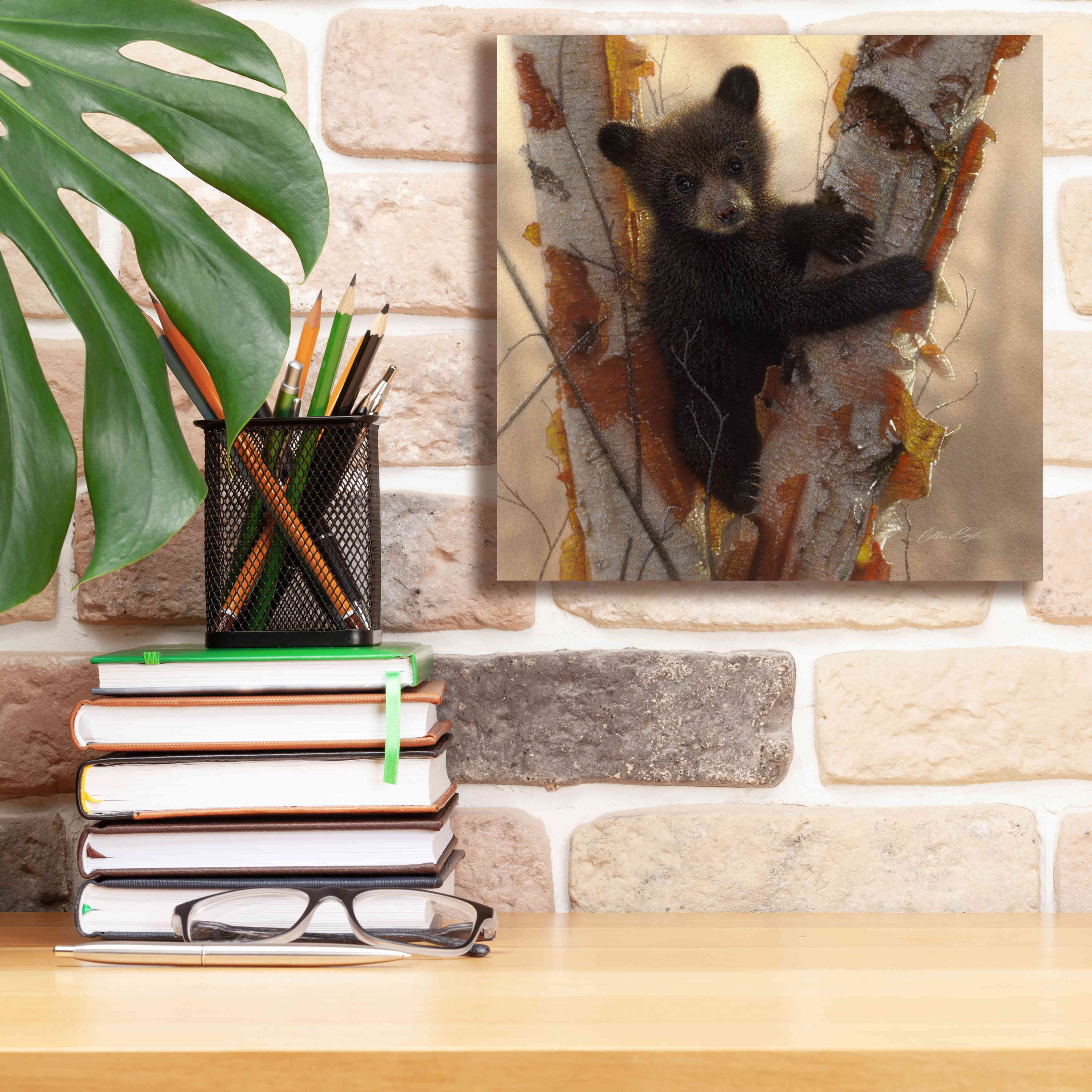 'Curious Cub I' by Collin Bogle, Canvas Wall Art,12x12