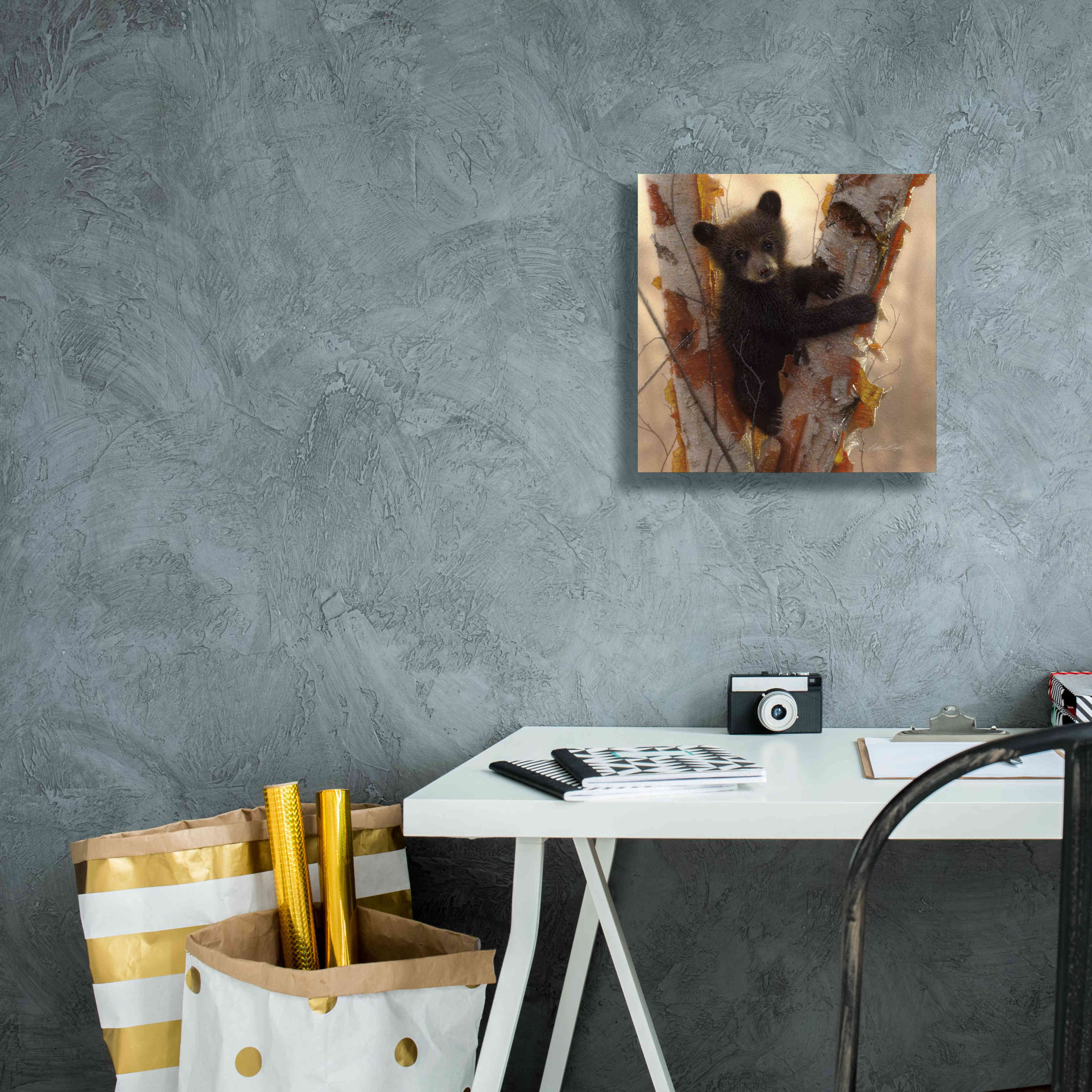 'Curious Cub I' by Collin Bogle, Canvas Wall Art,12x12