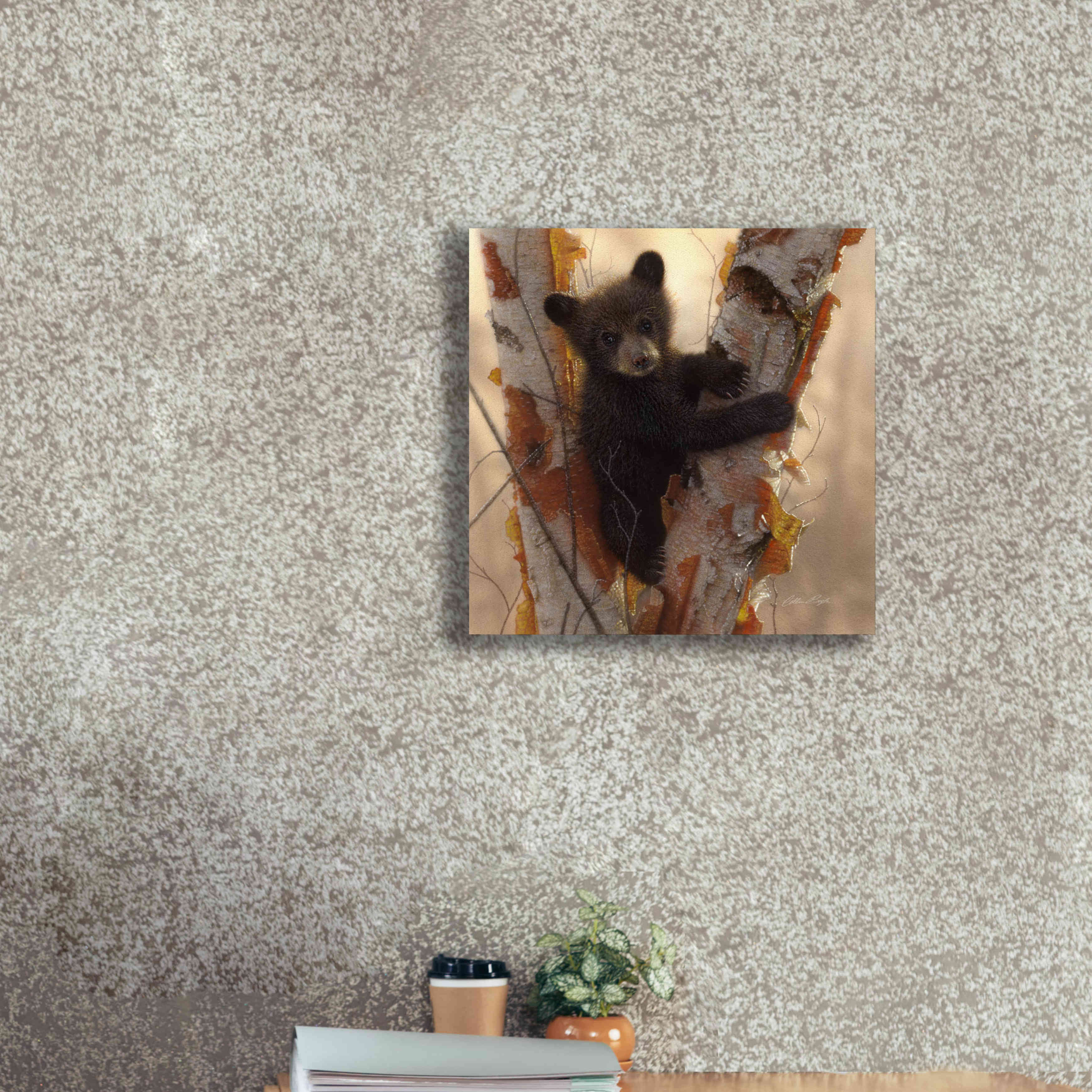 'Curious Cub I' by Collin Bogle, Canvas Wall Art,18x18