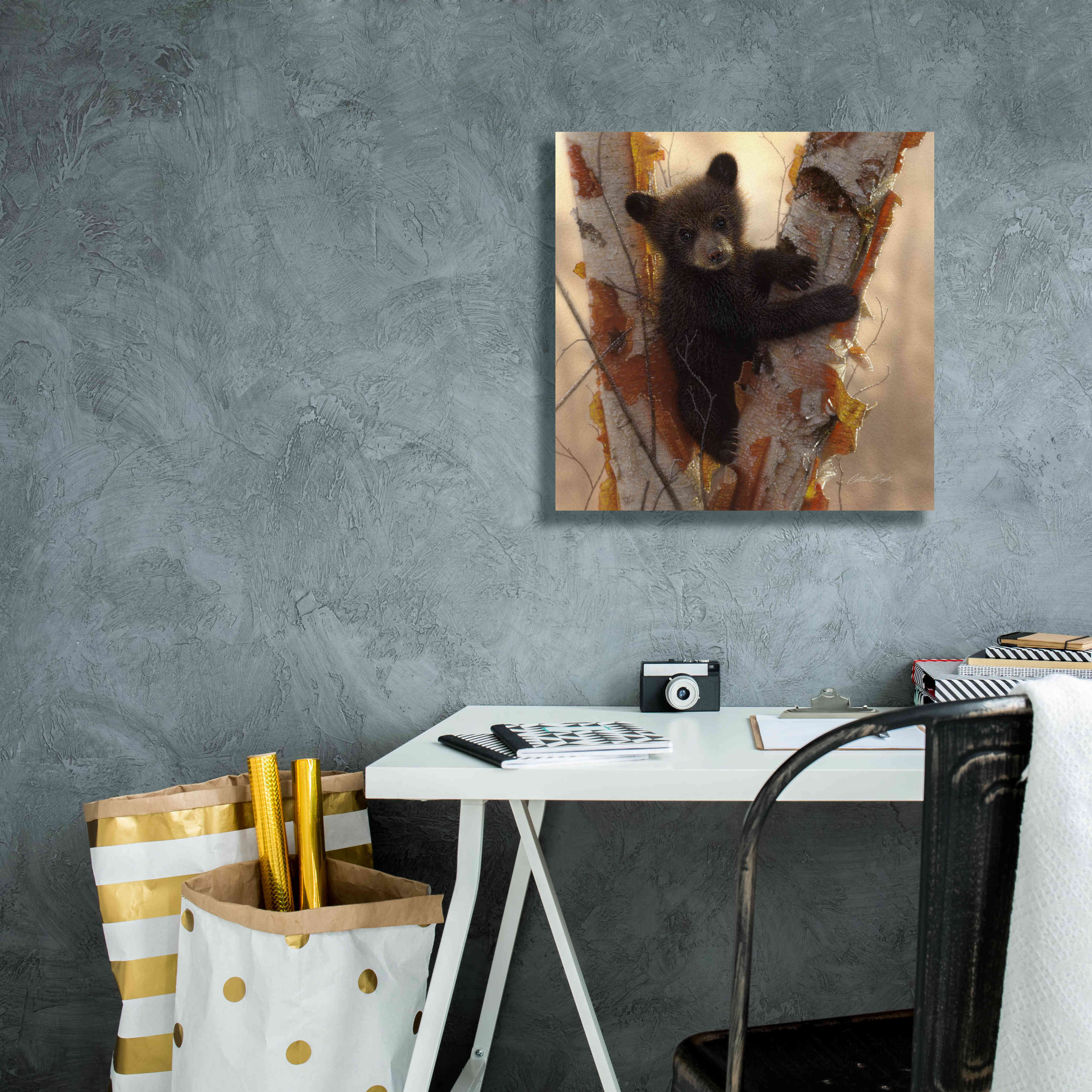 'Curious Cub I' by Collin Bogle, Canvas Wall Art,18x18