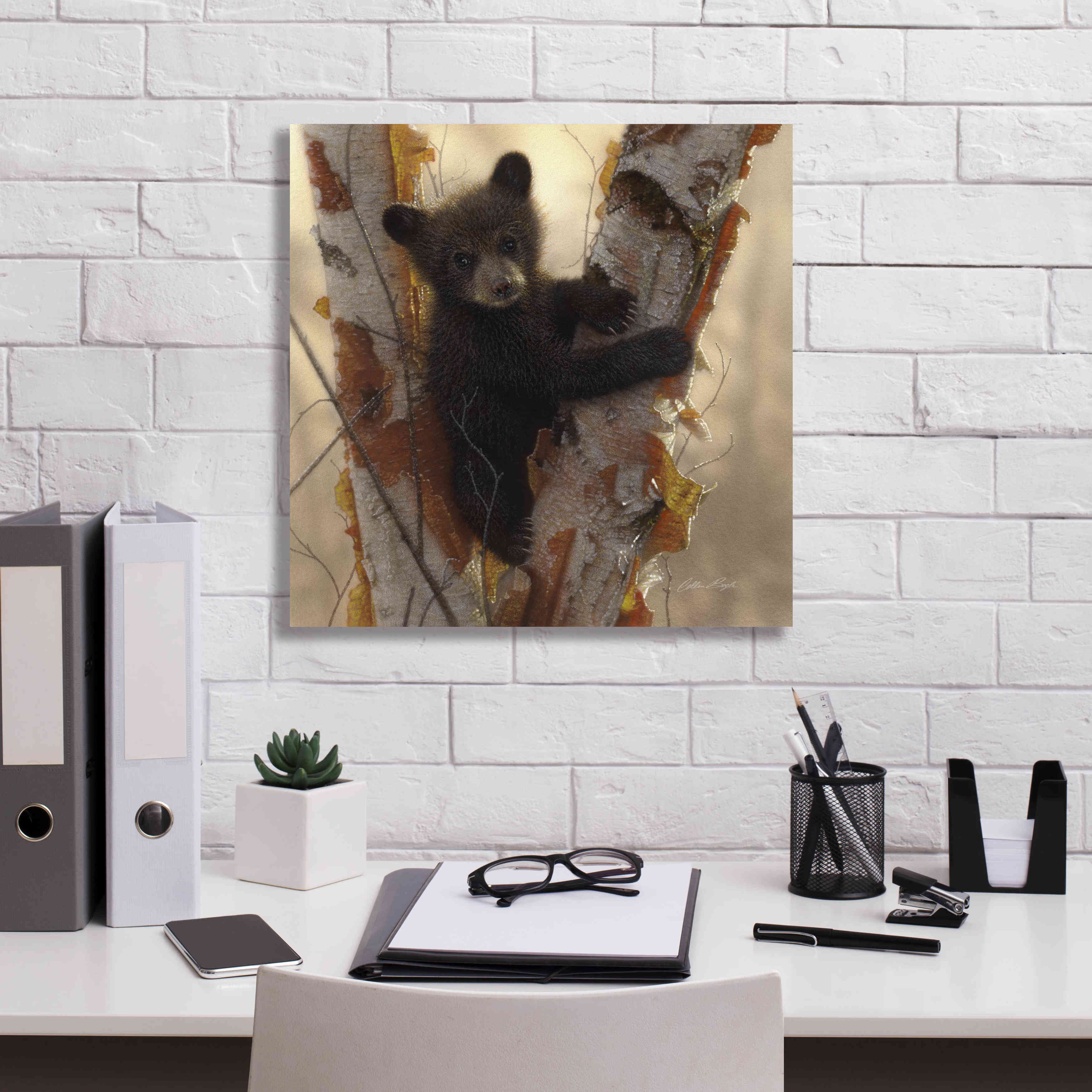 'Curious Cub I' by Collin Bogle, Canvas Wall Art,18x18