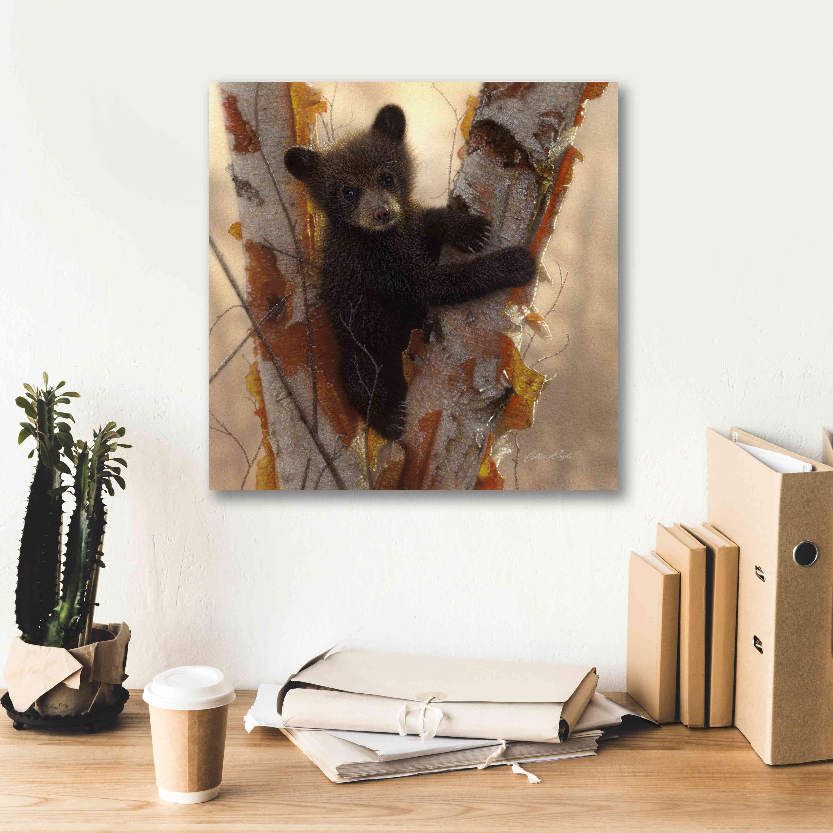 'Curious Cub I' by Collin Bogle, Canvas Wall Art,18x18