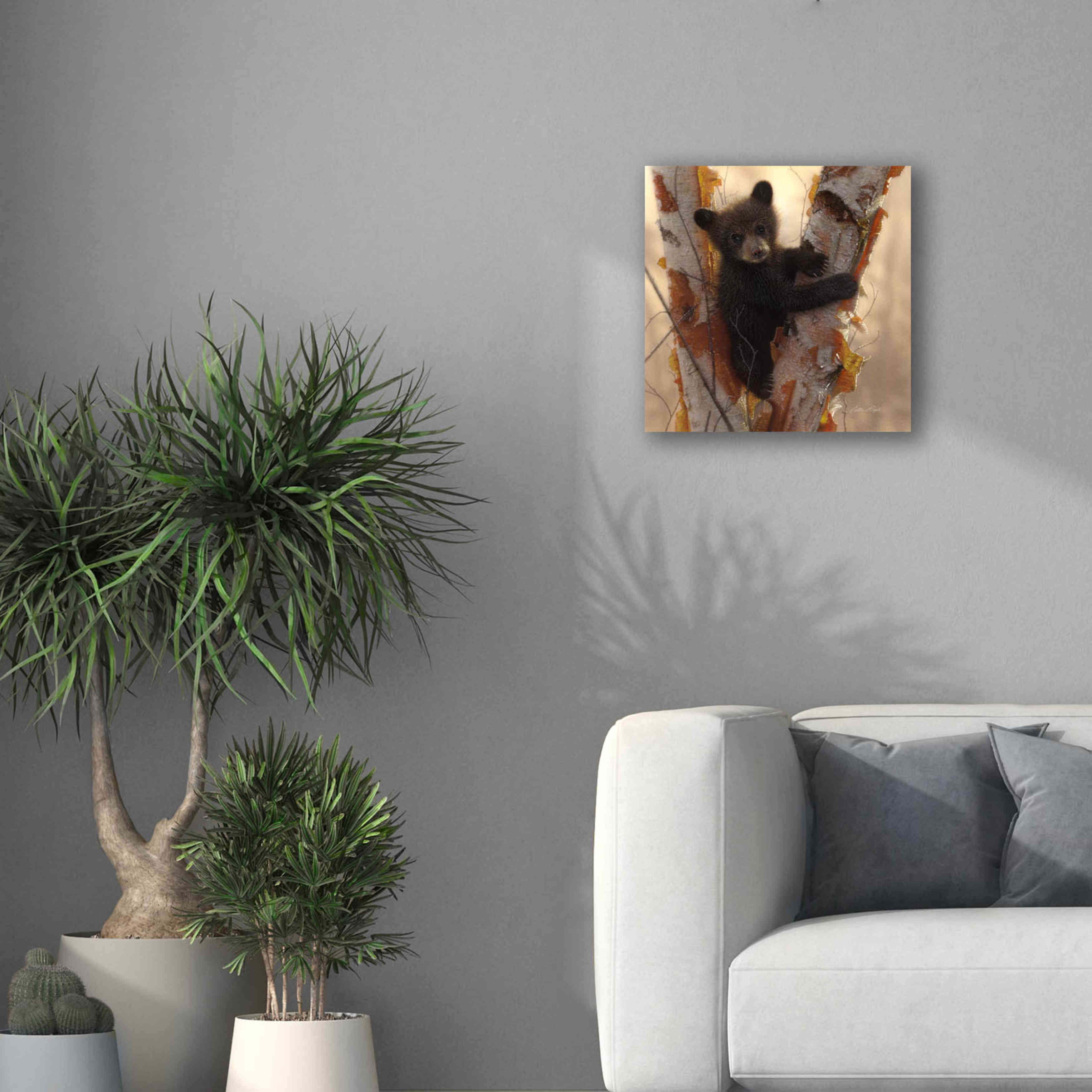 'Curious Cub I' by Collin Bogle, Canvas Wall Art,18x18