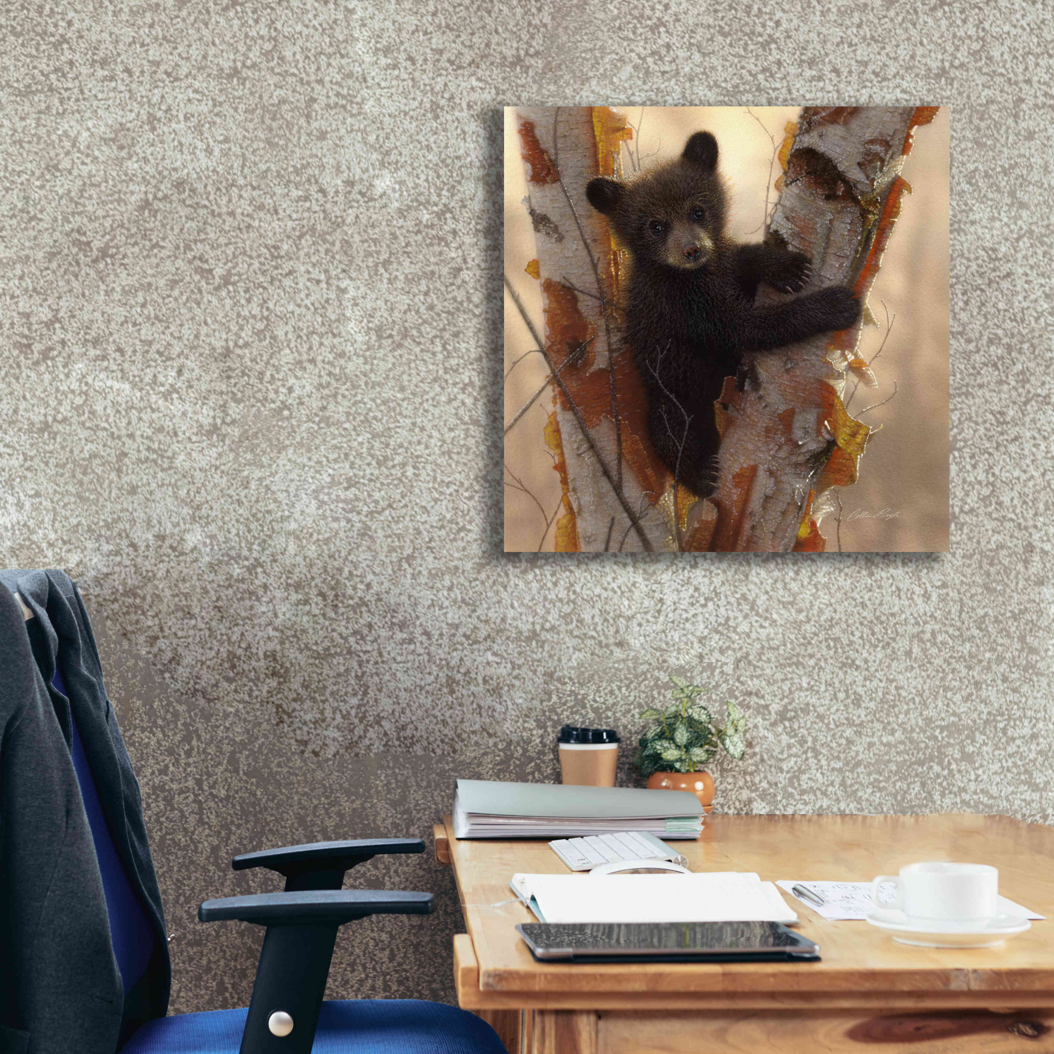 'Curious Cub I' by Collin Bogle, Canvas Wall Art,26x26