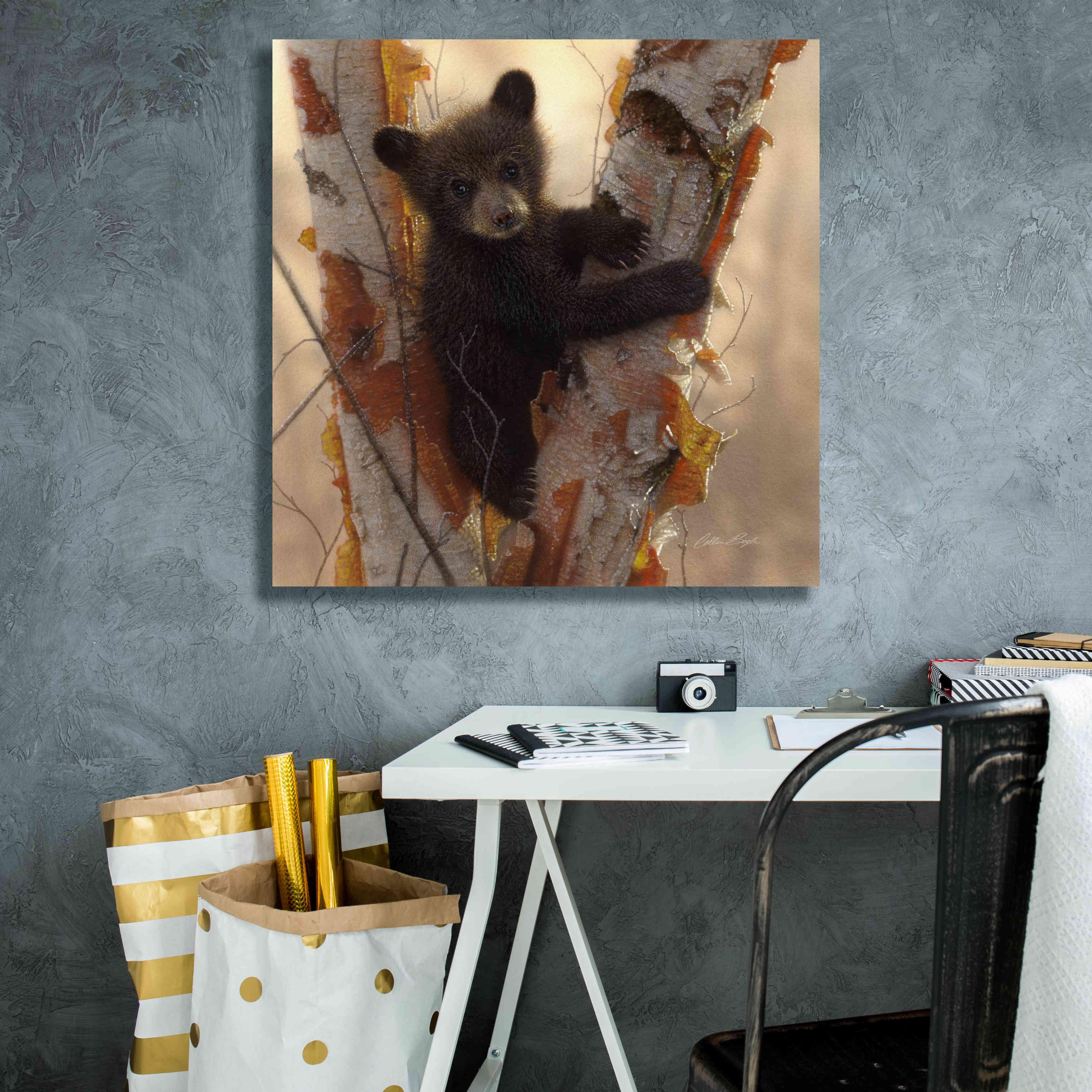 'Curious Cub I' by Collin Bogle, Canvas Wall Art,26x26