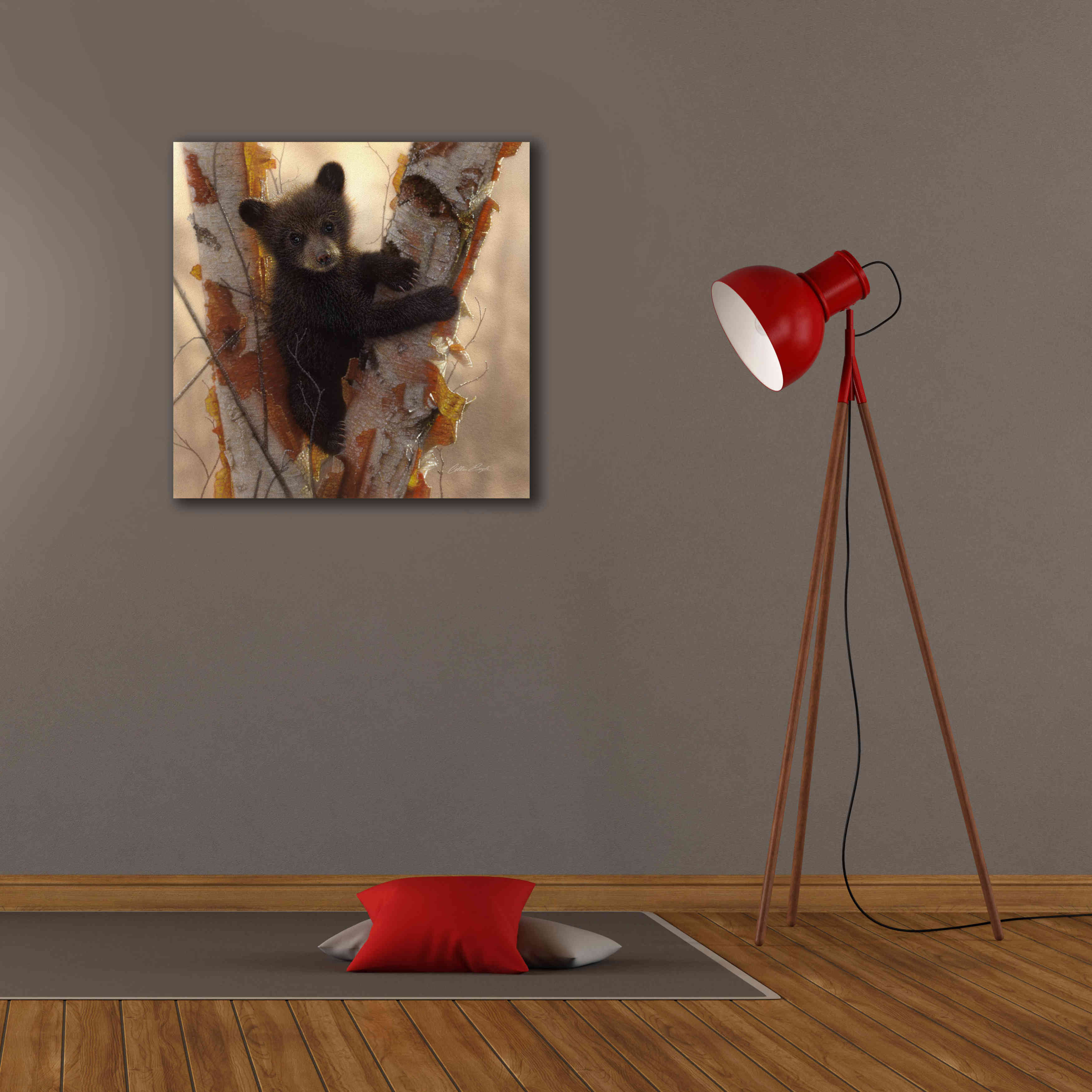 'Curious Cub I' by Collin Bogle, Canvas Wall Art,26x26