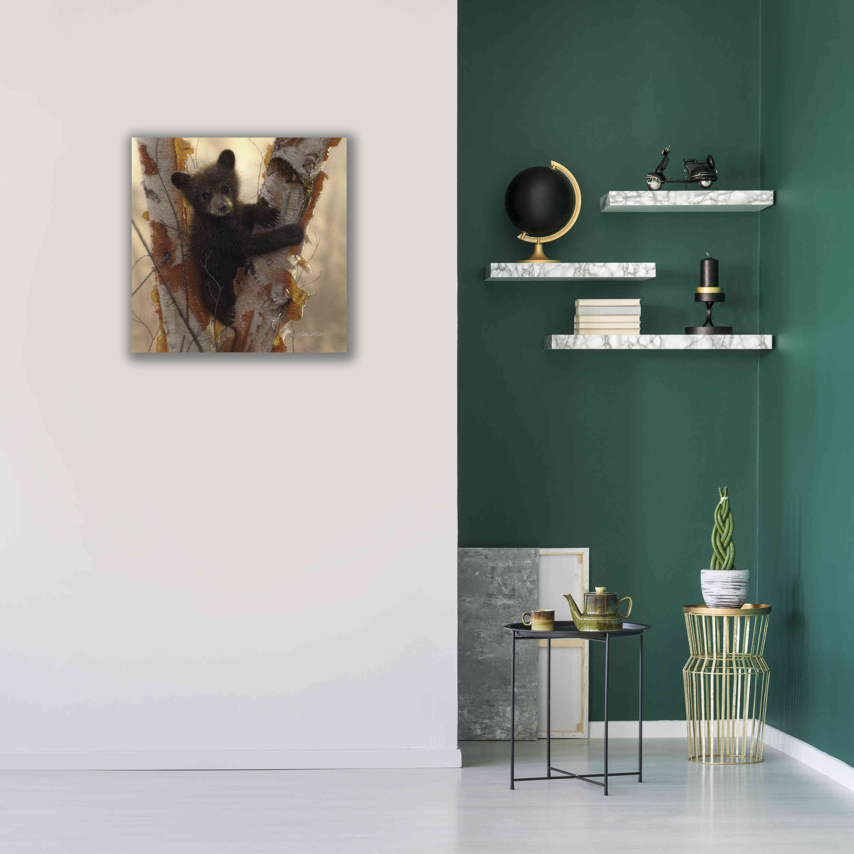 'Curious Cub I' by Collin Bogle, Canvas Wall Art,26x26