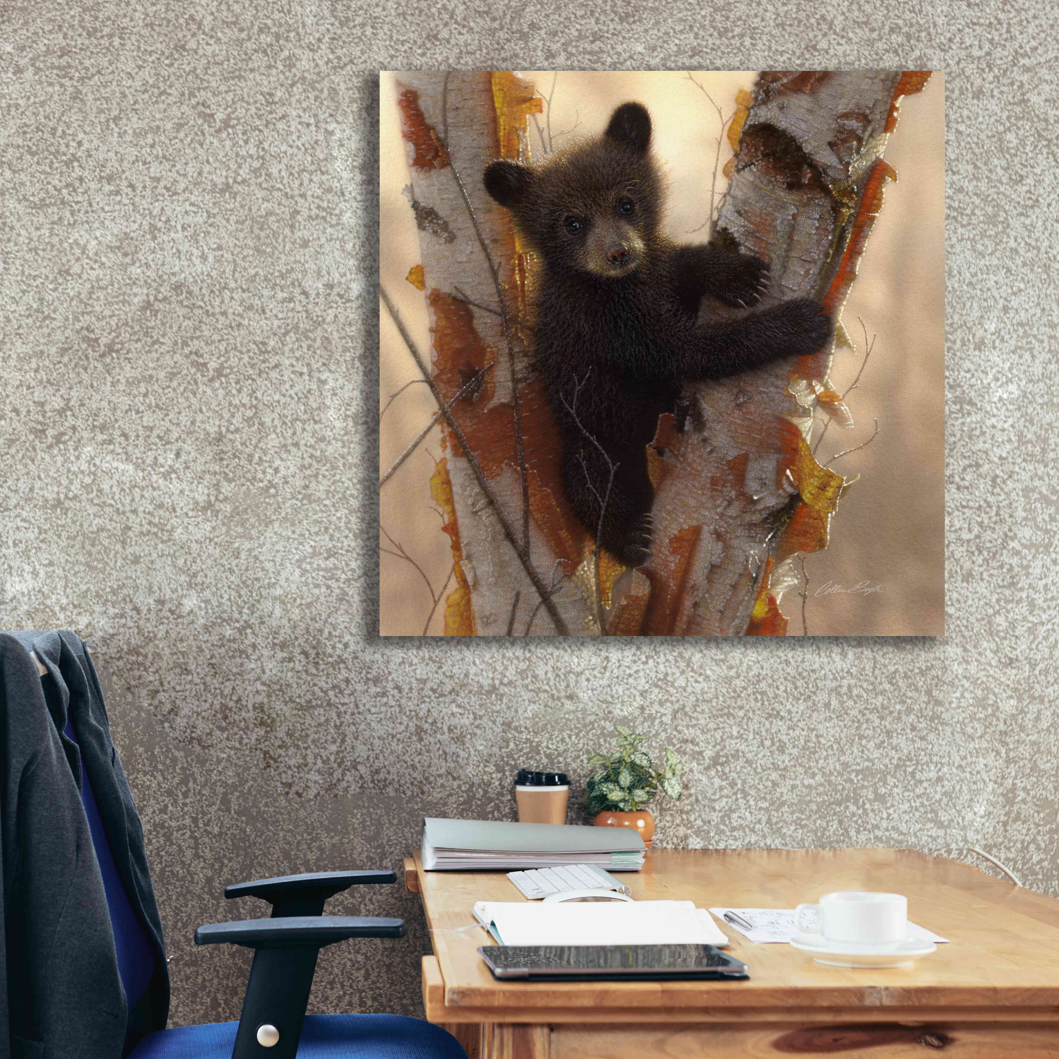 'Curious Cub I' by Collin Bogle, Canvas Wall Art,37x37