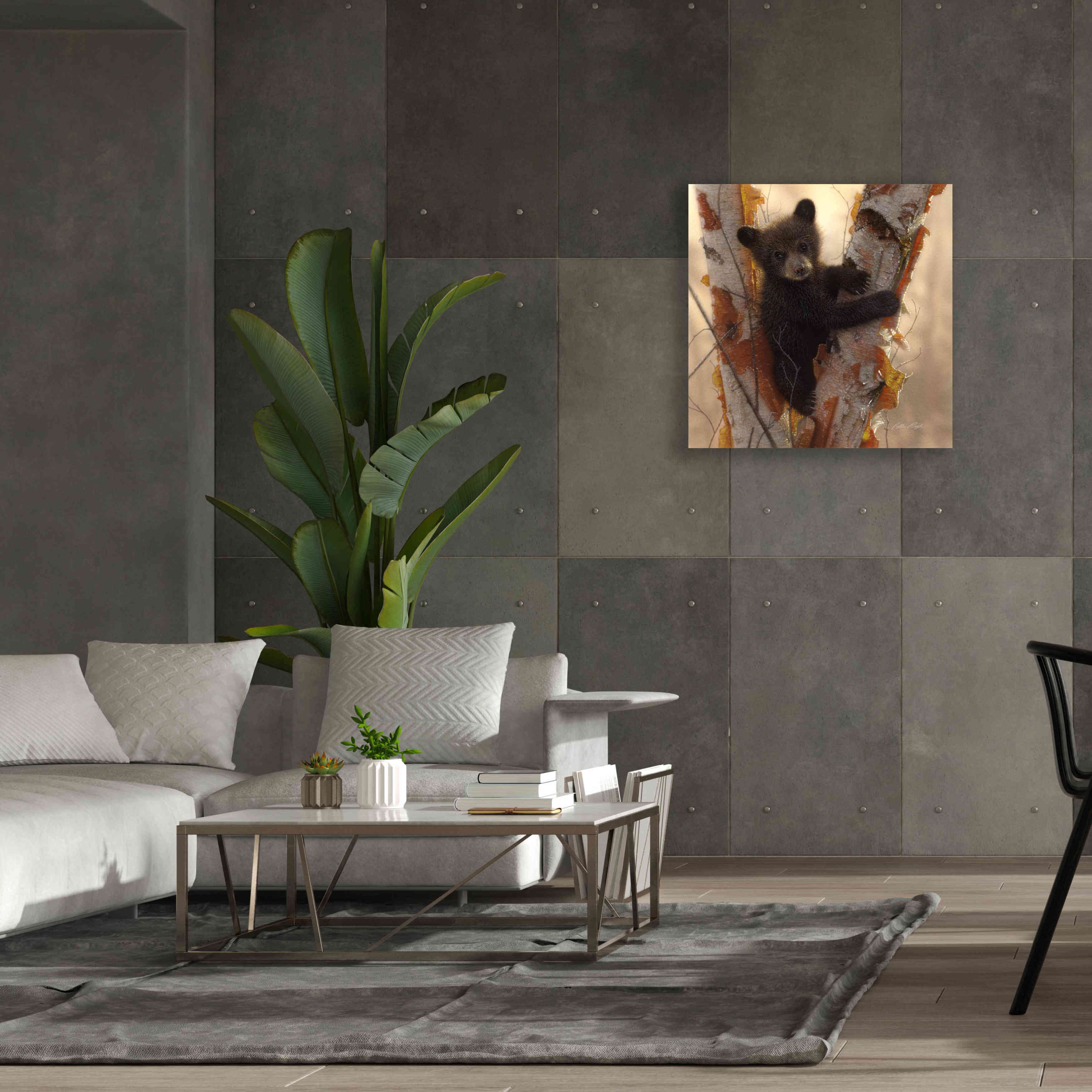 'Curious Cub I' by Collin Bogle, Canvas Wall Art,37x37