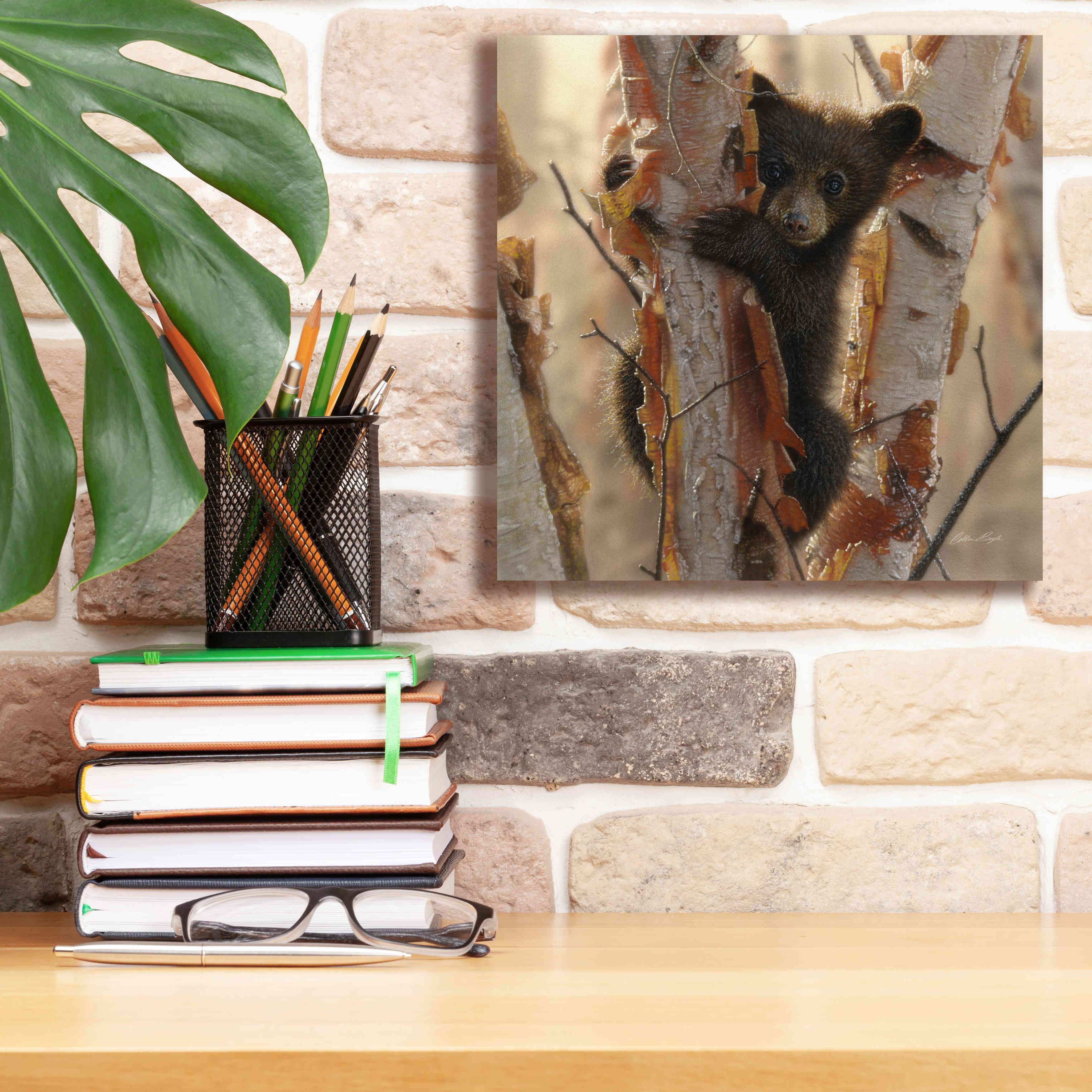 'Curious Cub II' by Collin Bogle, Canvas Wall Art,12x12