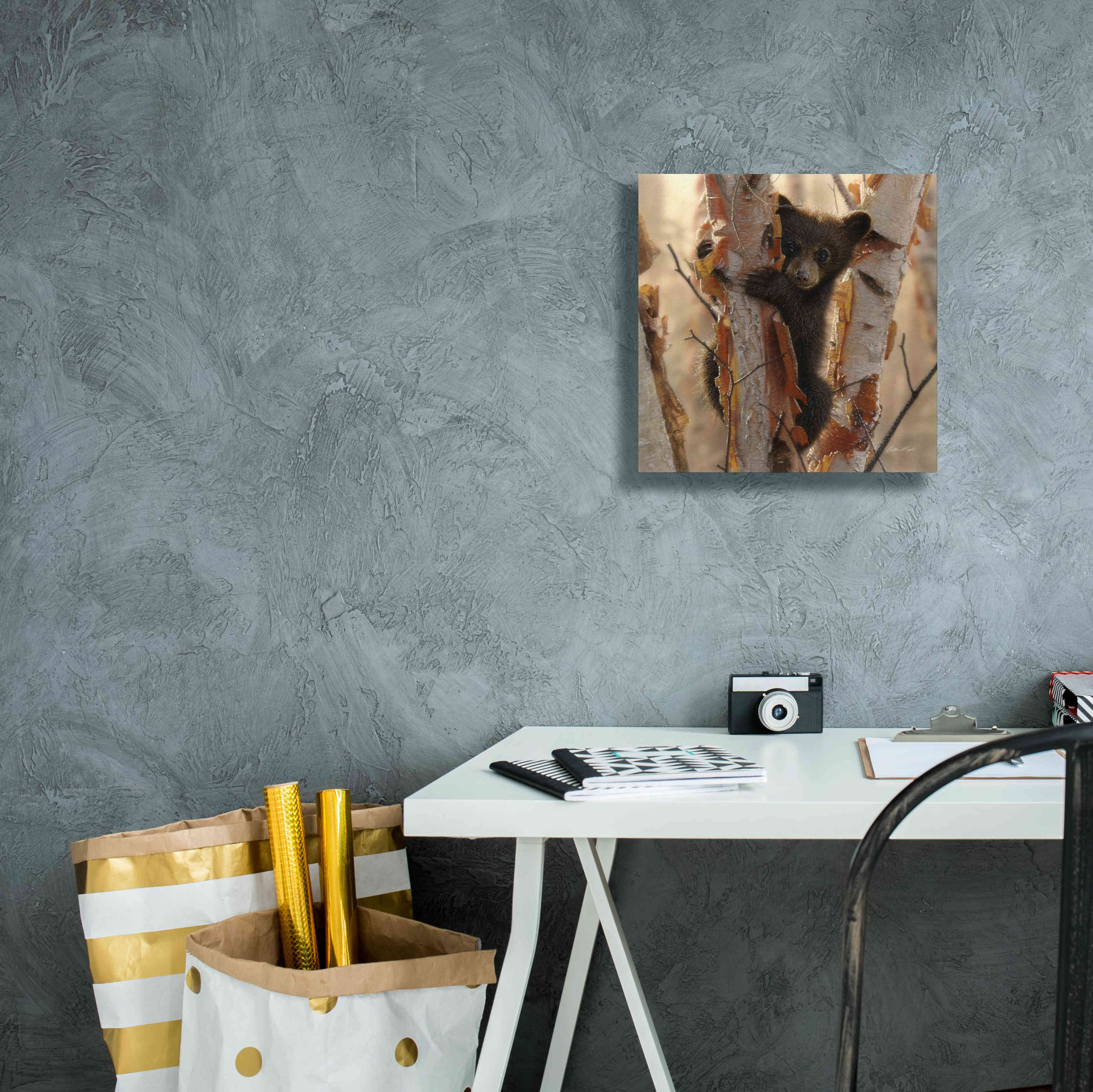 'Curious Cub II' by Collin Bogle, Canvas Wall Art,12x12