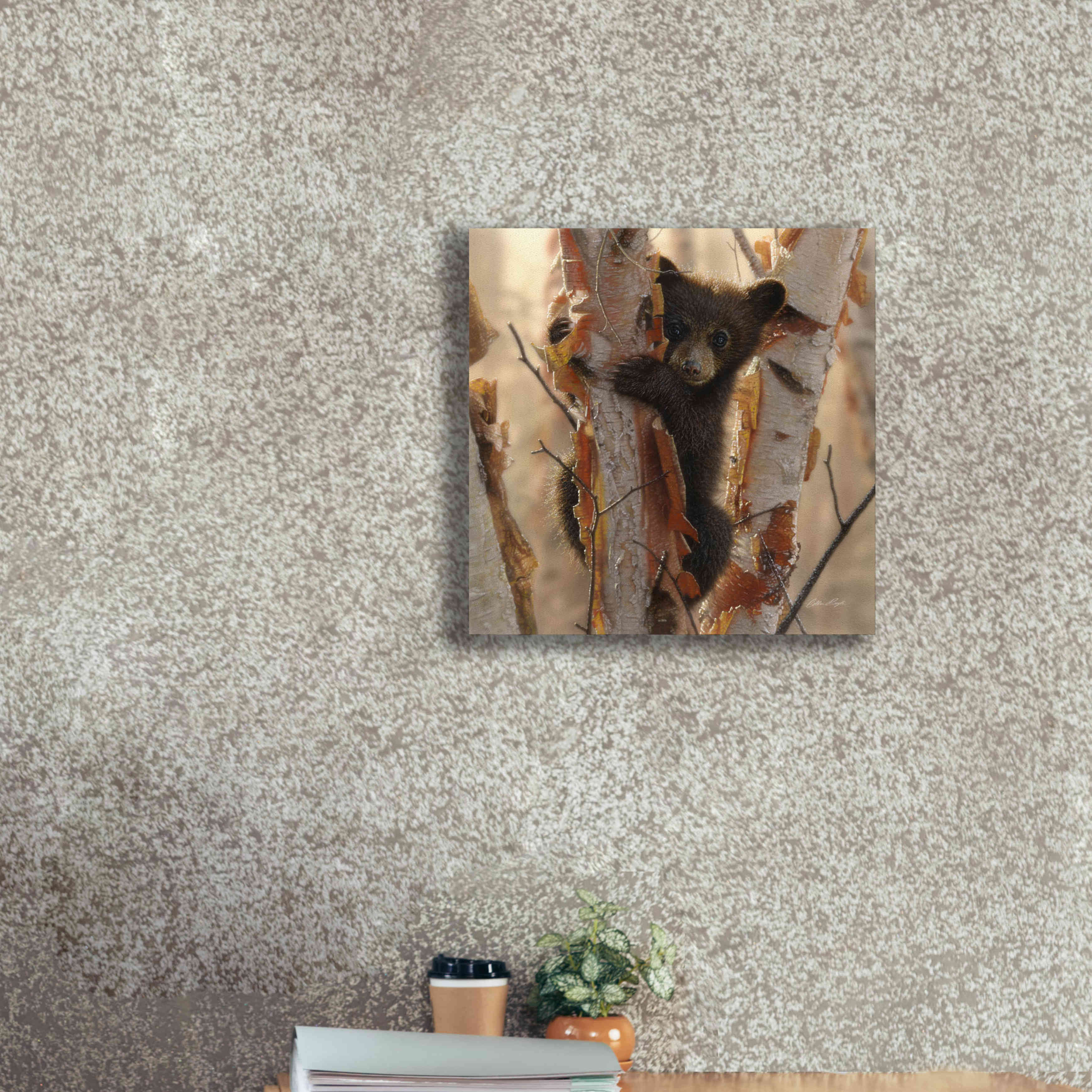'Curious Cub II' by Collin Bogle, Canvas Wall Art,18x18