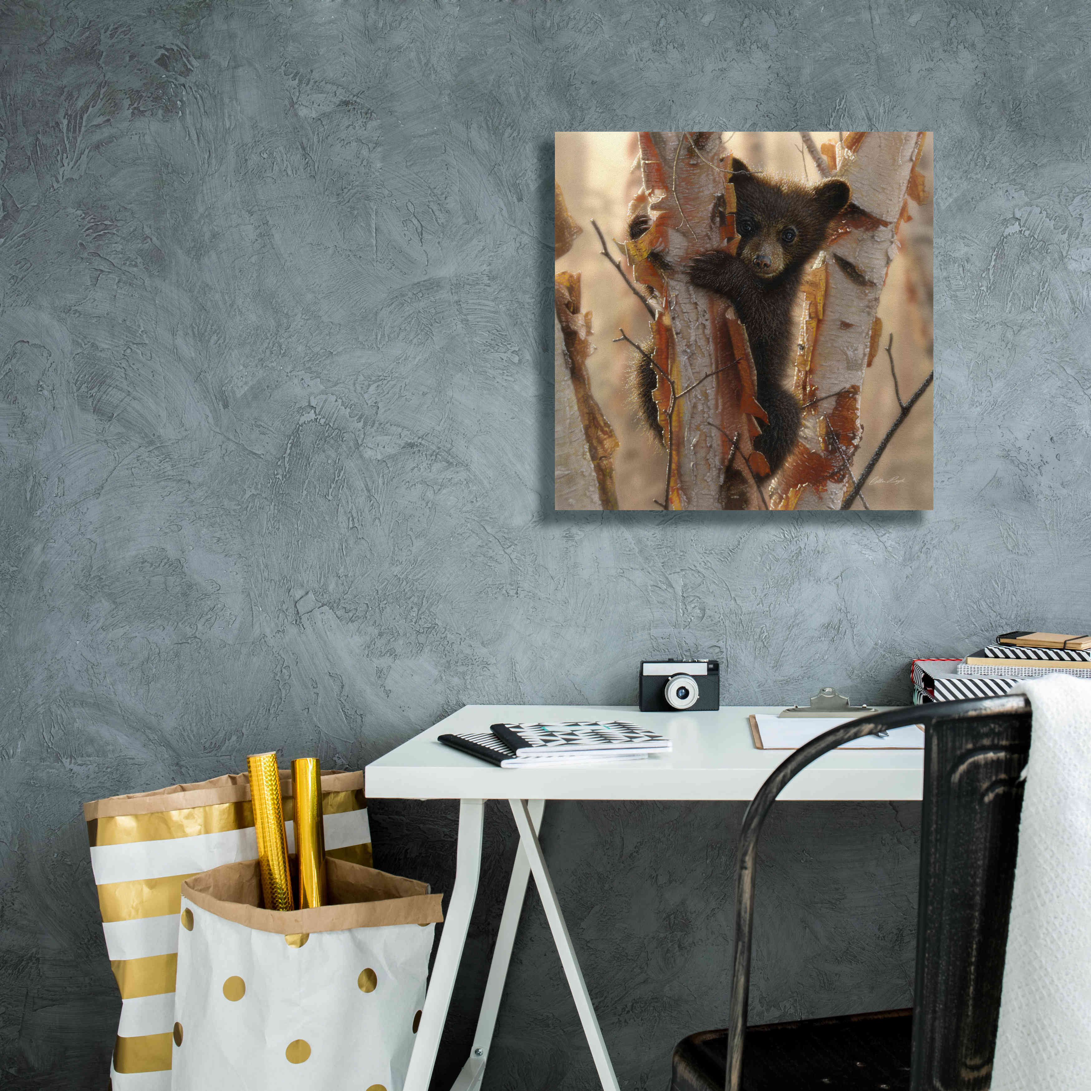 'Curious Cub II' by Collin Bogle, Canvas Wall Art,18x18