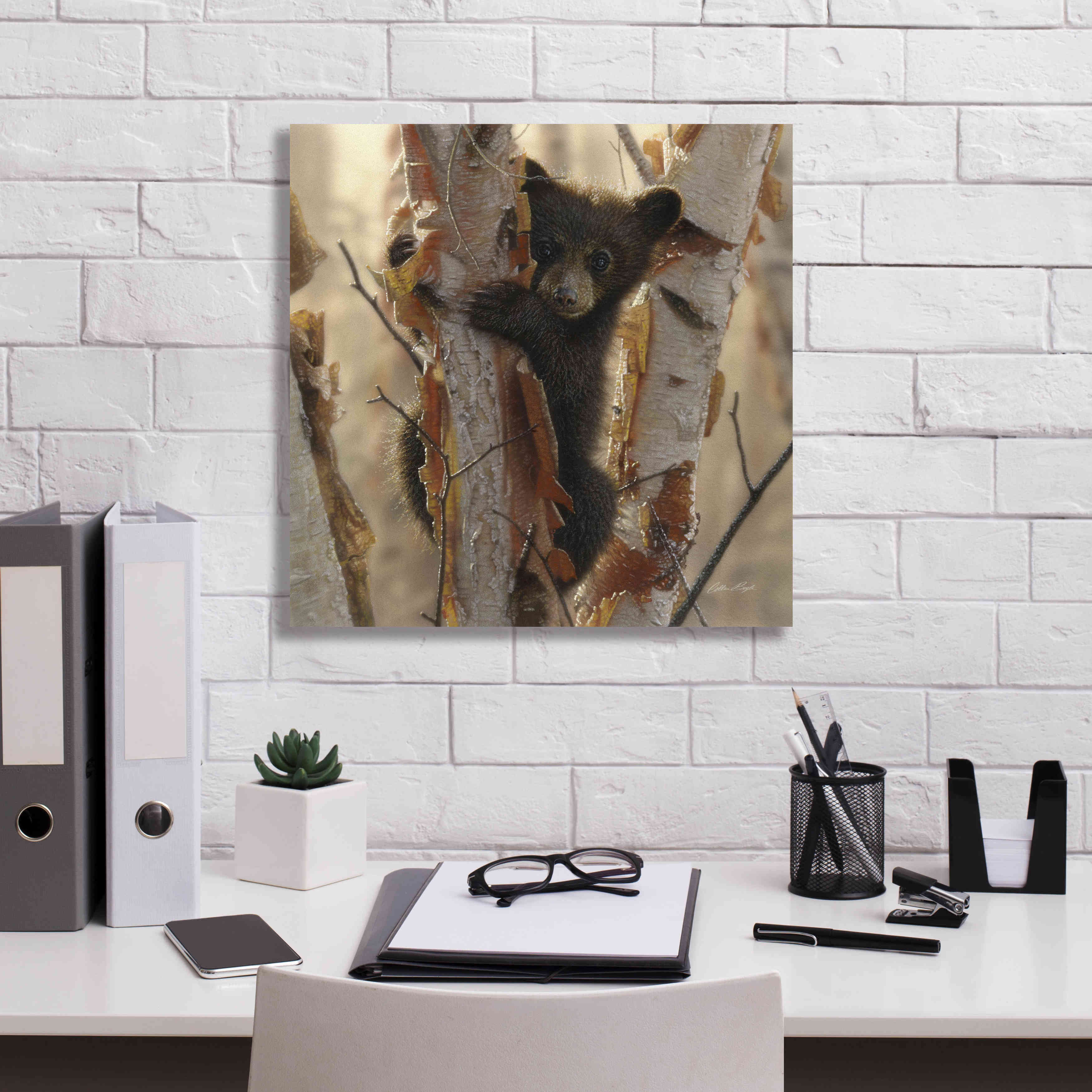 'Curious Cub II' by Collin Bogle, Canvas Wall Art,18x18