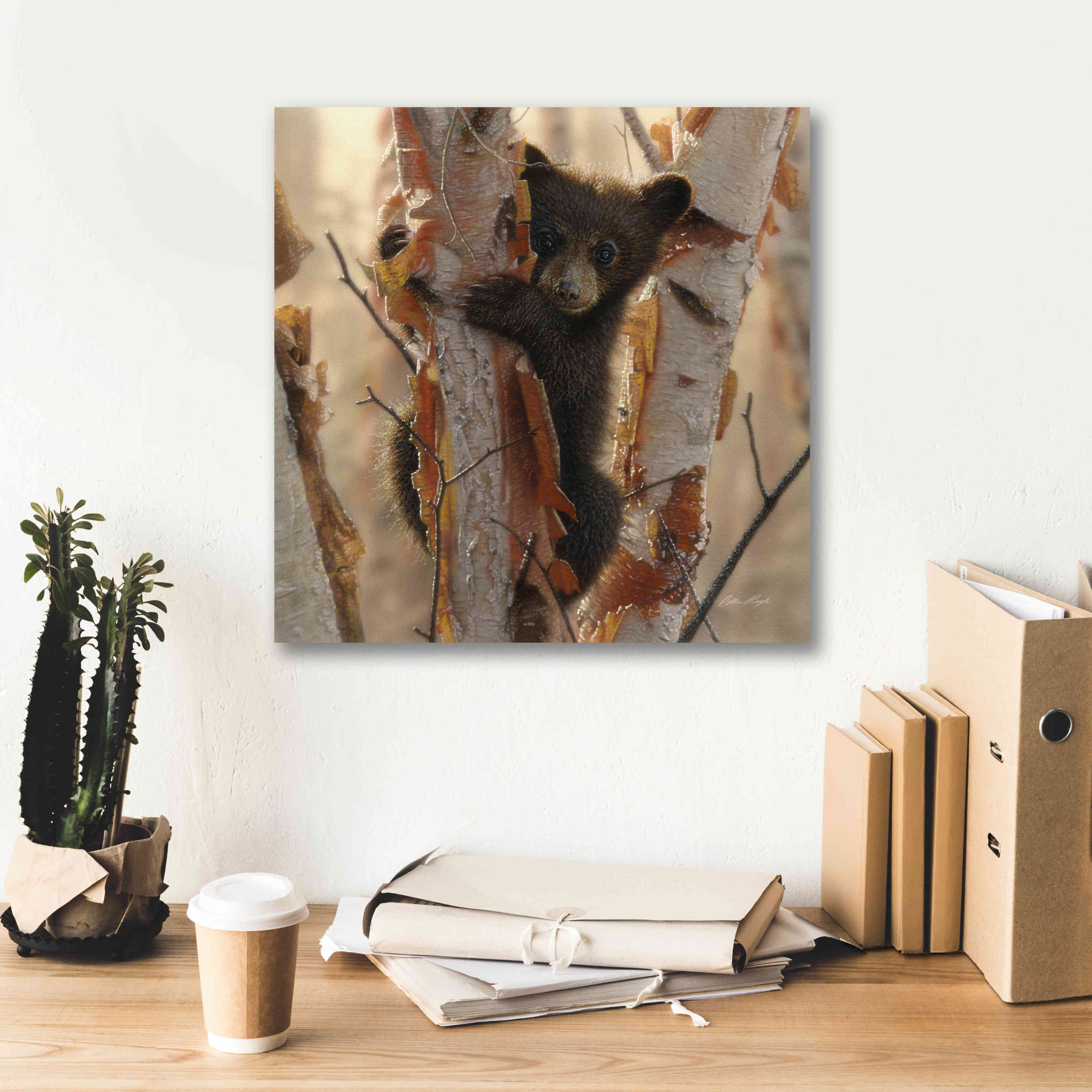 'Curious Cub II' by Collin Bogle, Canvas Wall Art,18x18