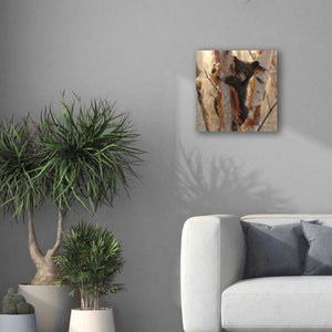 'Curious Cub II' by Collin Bogle, Canvas Wall Art,18x18