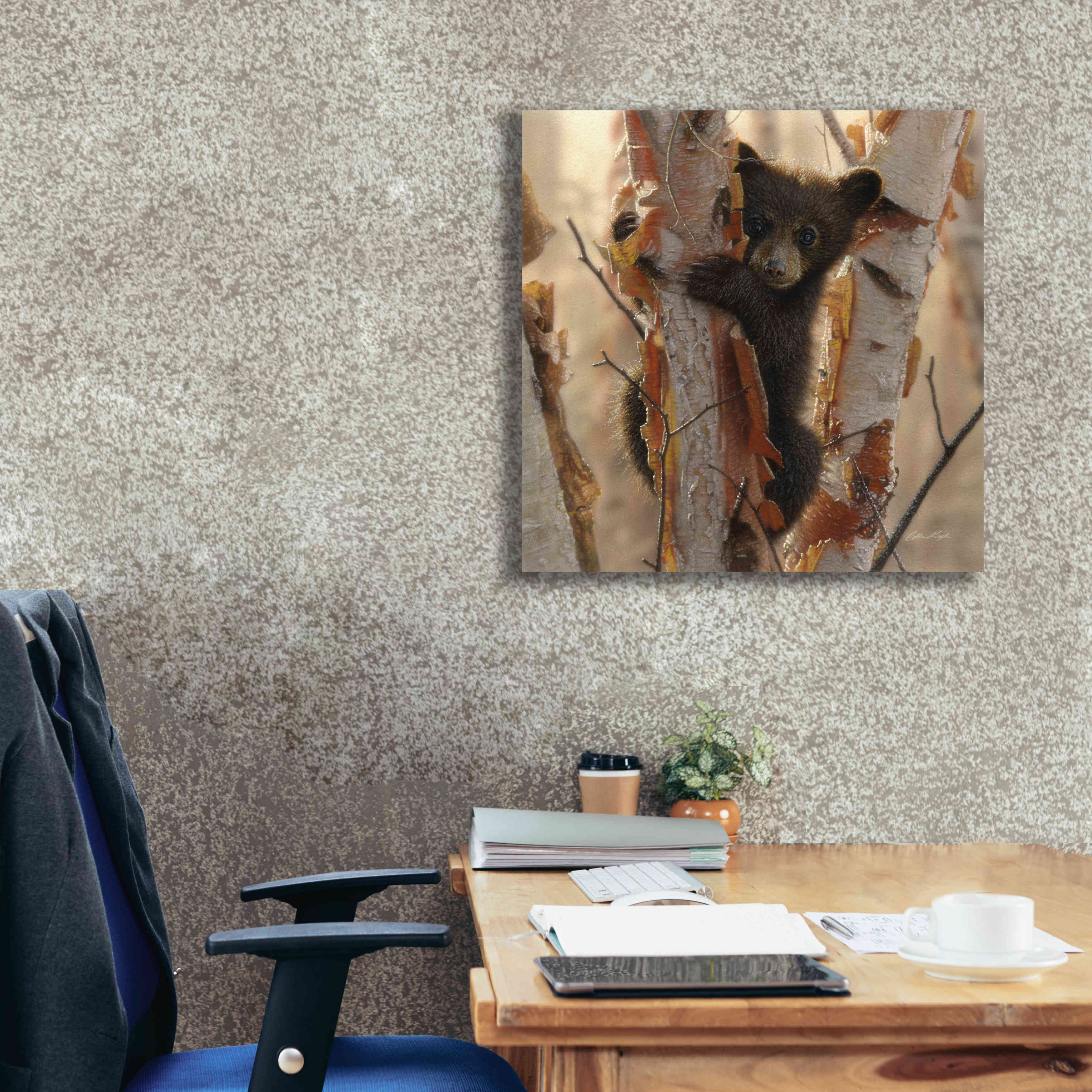 'Curious Cub II' by Collin Bogle, Canvas Wall Art,26x26