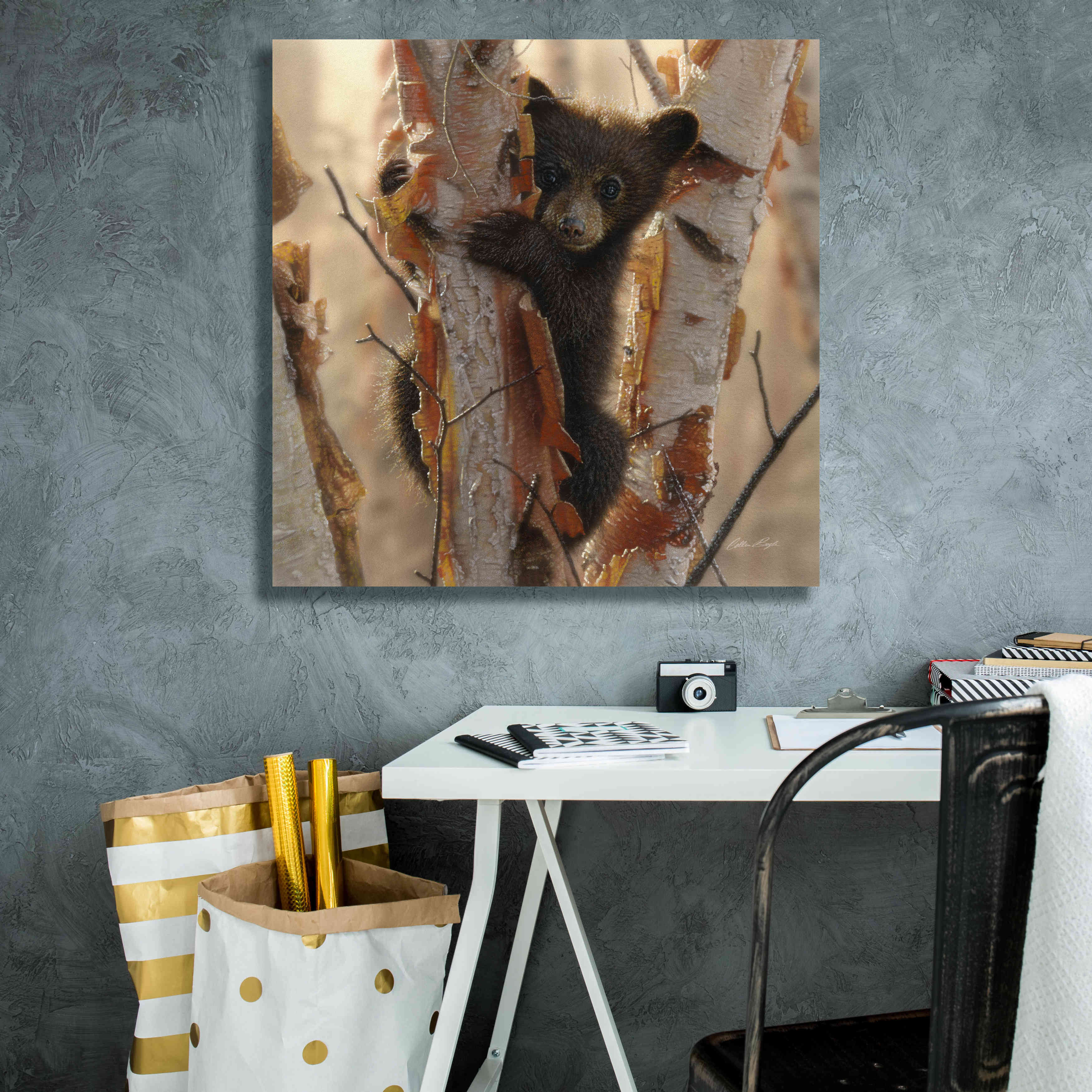 'Curious Cub II' by Collin Bogle, Canvas Wall Art,26x26