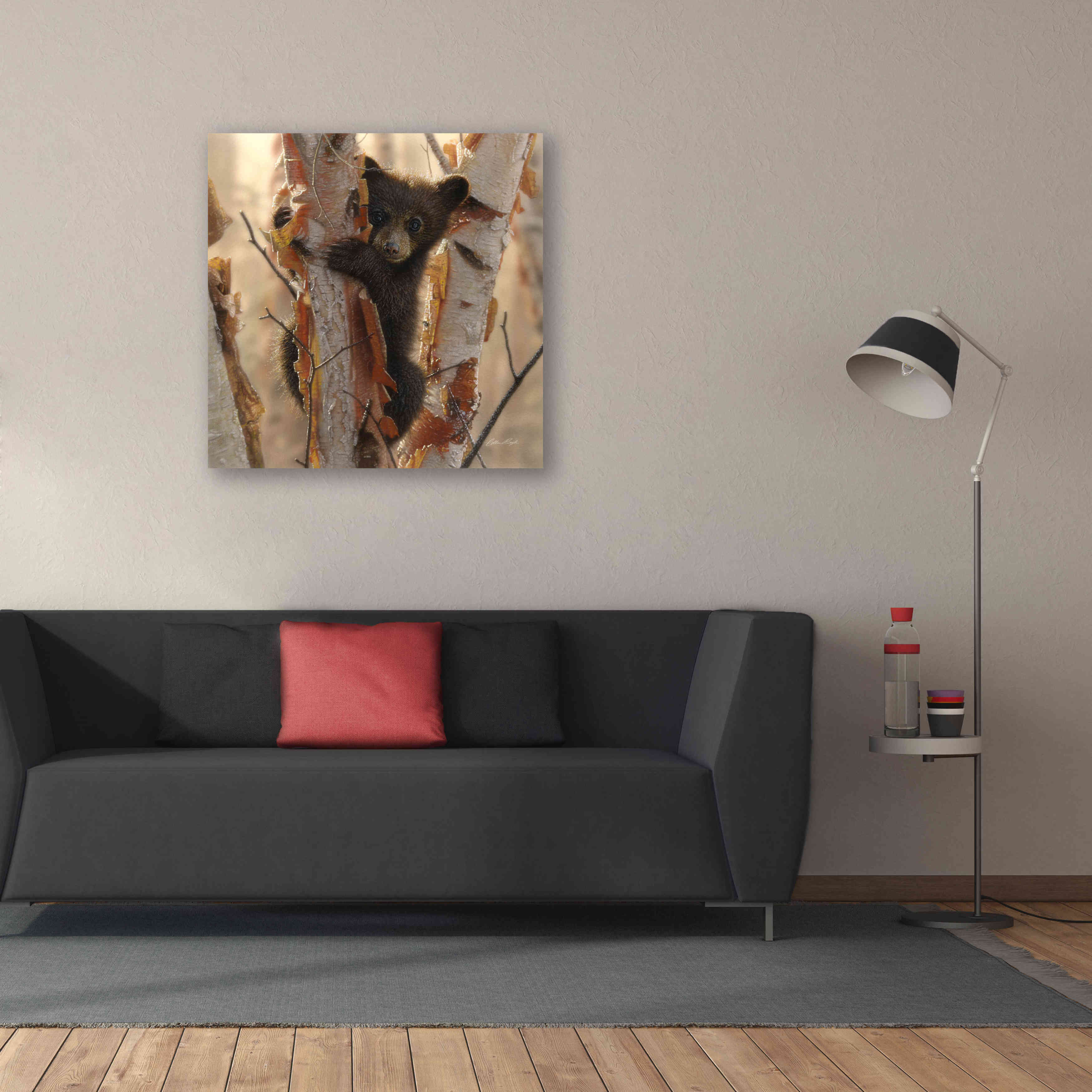 'Curious Cub II' by Collin Bogle, Canvas Wall Art,37x37